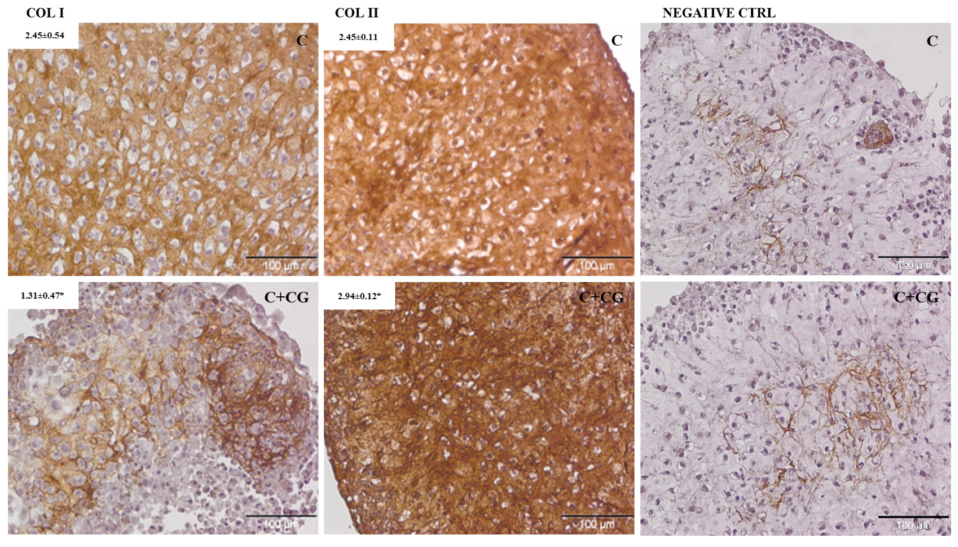 Jcm 08 00975 g004 Jcm 08 00975 g004