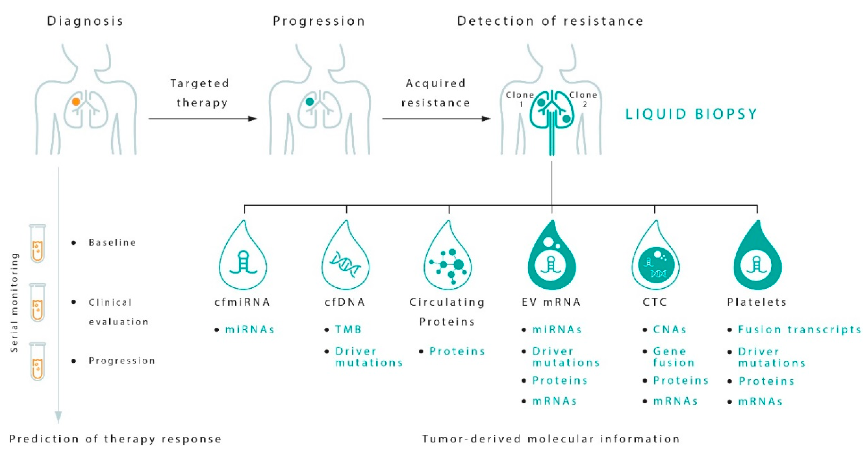 Jcm 08 00998 g002 Jcm 08 00998 g002