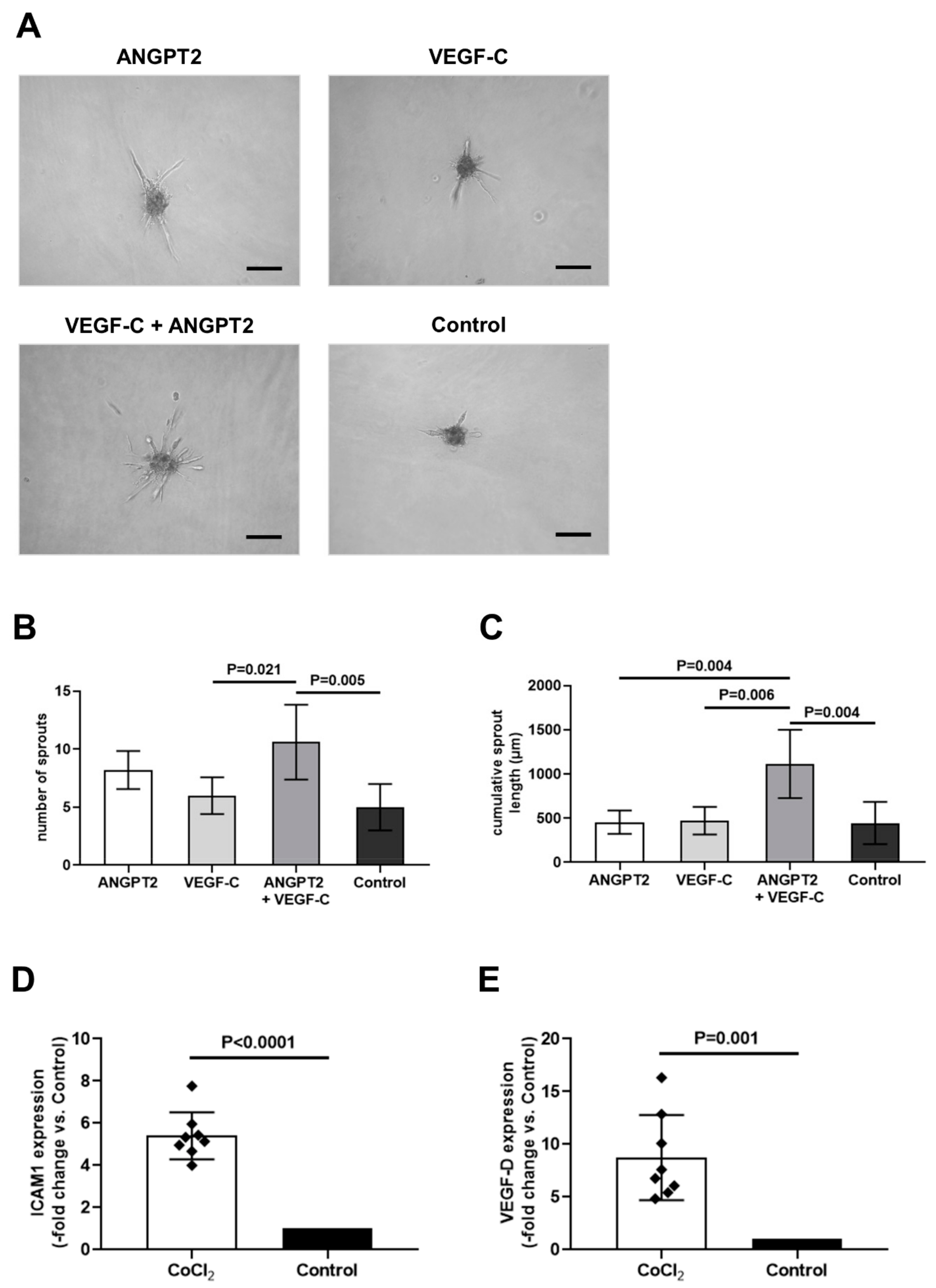 Jcm 08 01000 g006 Jcm 08 01000 g006