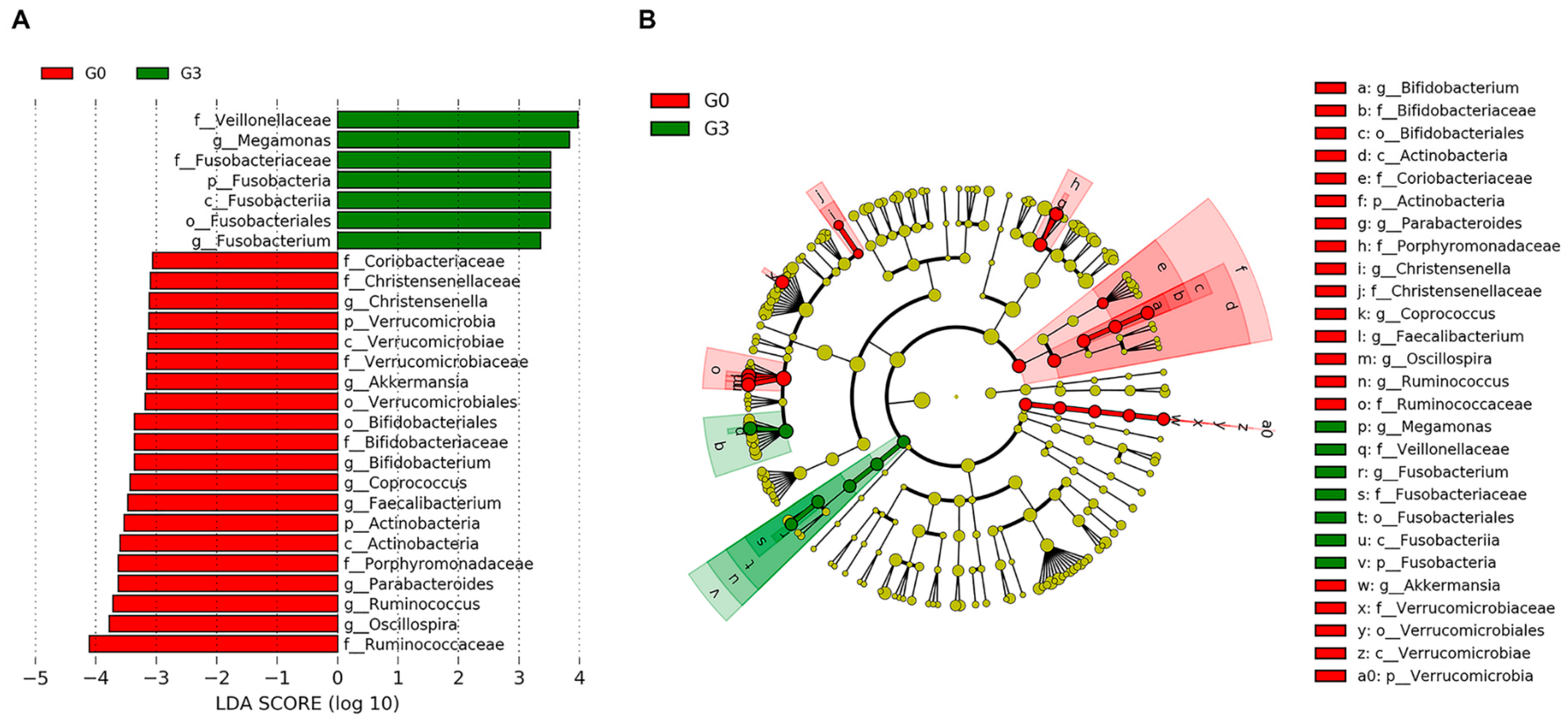 Jcm 08 01089 g004 Jcm 08 01089 g004