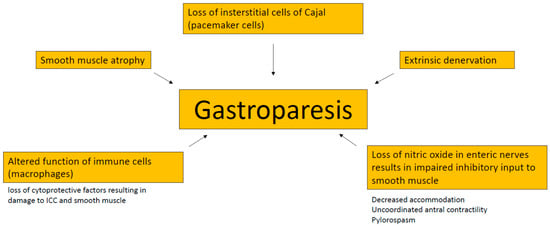 gastroparesis treatment guidelines