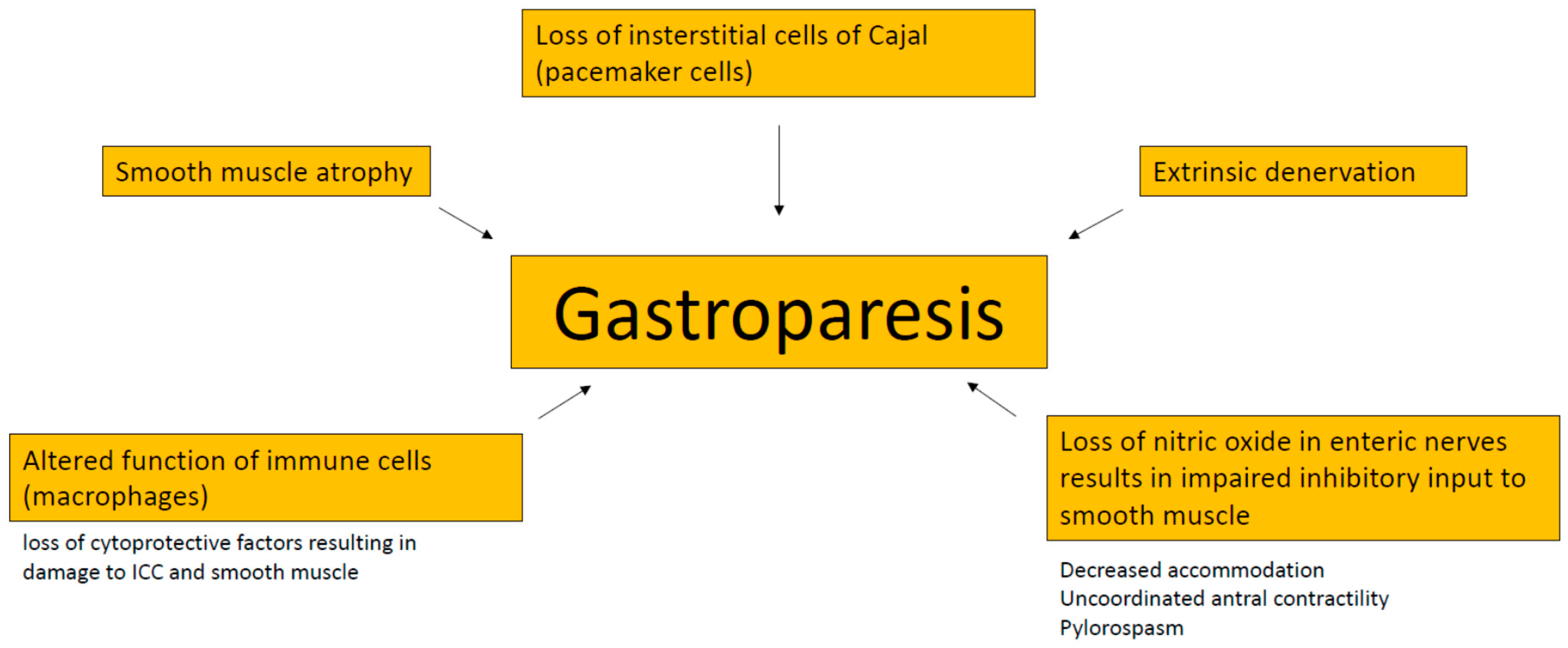 A gastroparesis és kezelésének lehetôségei