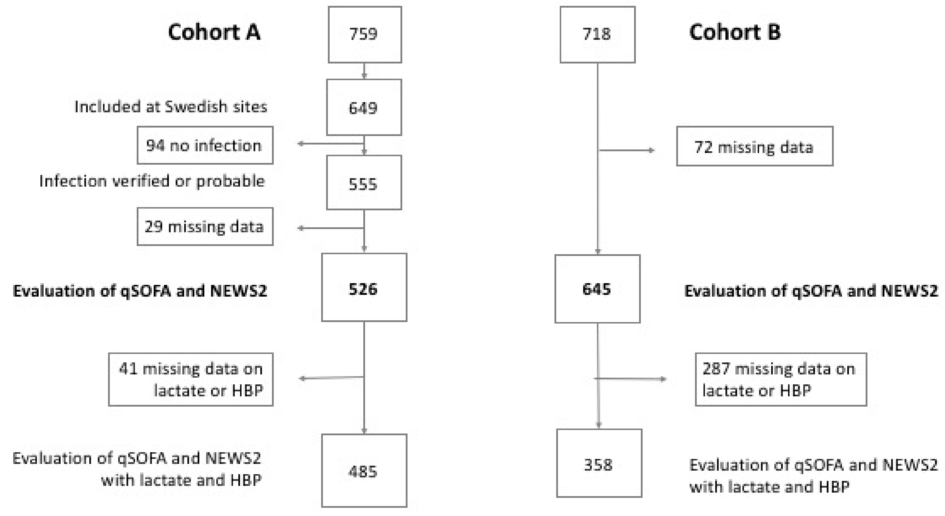 Inflammatory Response Flow Chart