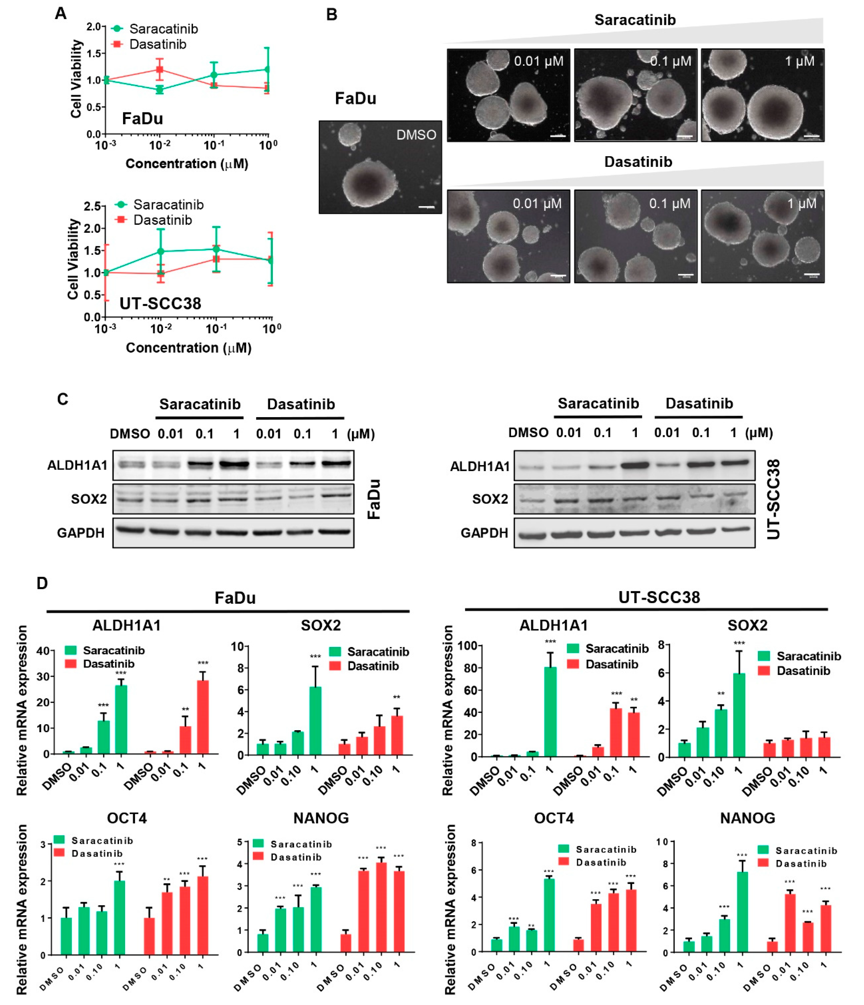 Jcm 08 01157 g002 Jcm 08 01157 g002