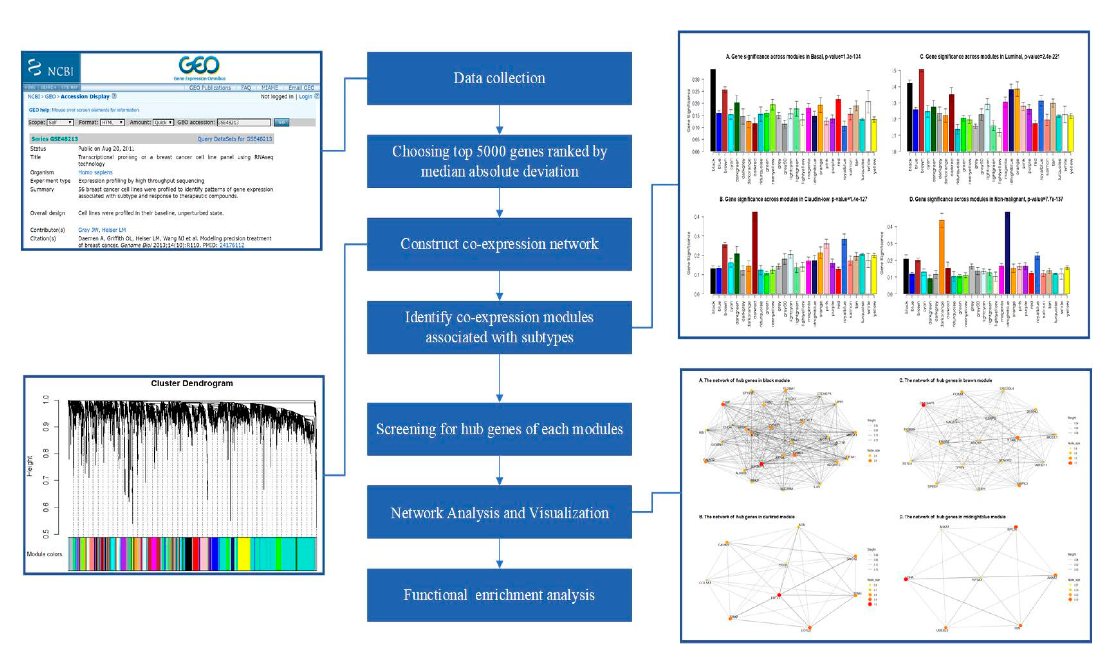 Jcm 08 01160 g001 Jcm 08 01160 g001