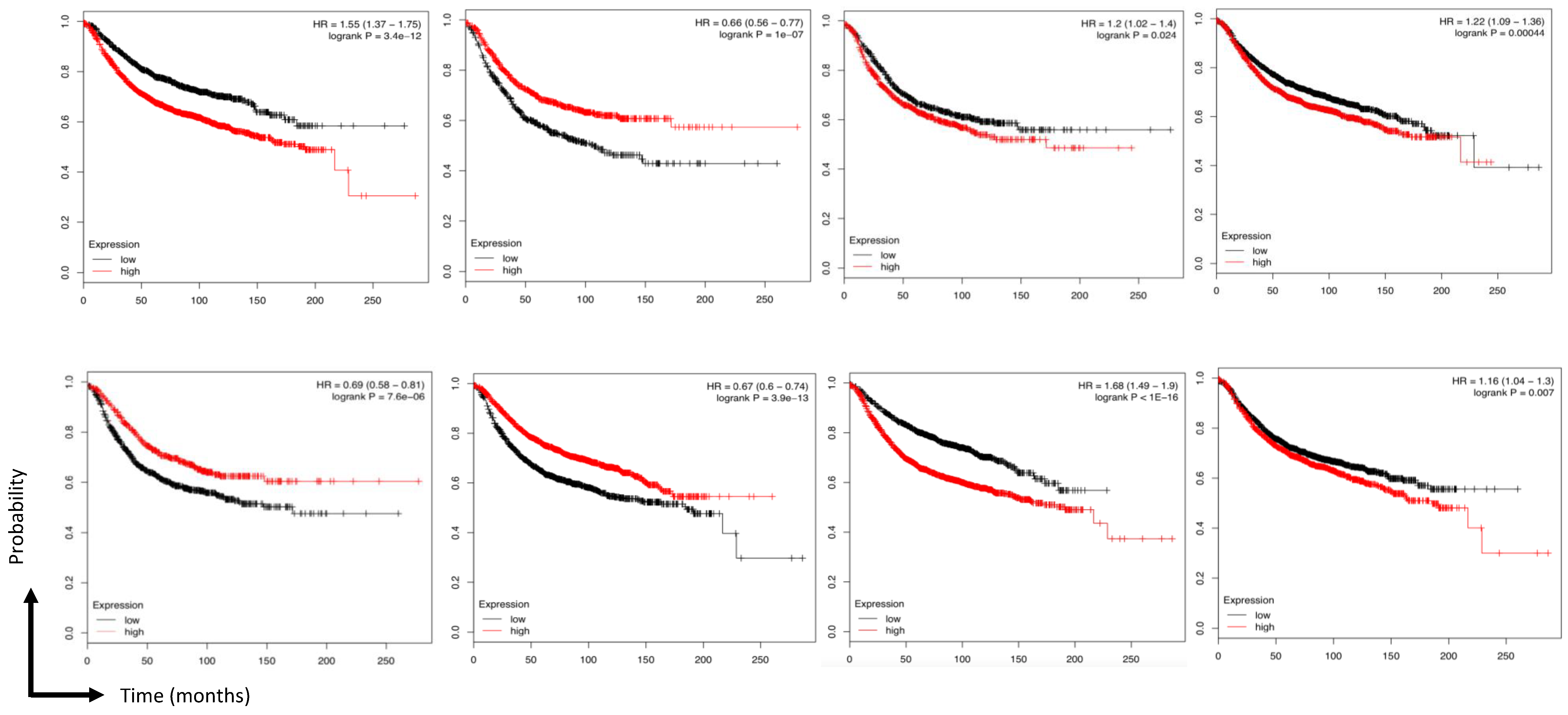 Jcm 08 01160 g007 Jcm 08 01160 g007