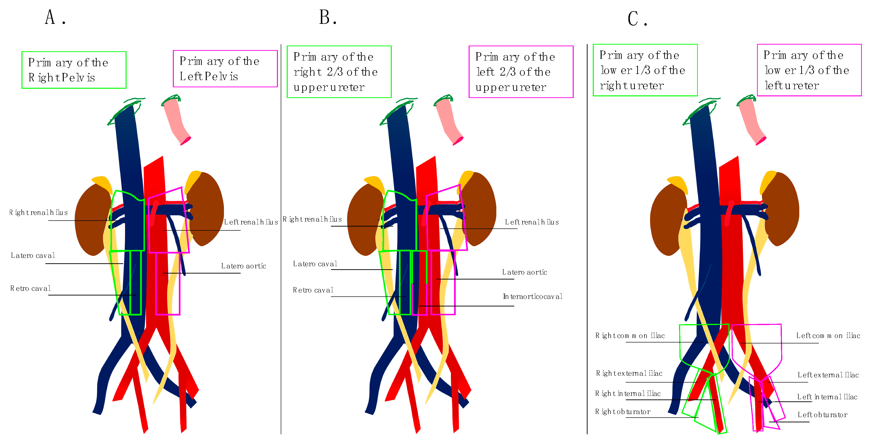 Jcm 08 01190 g002 Jcm 08 01190 g002