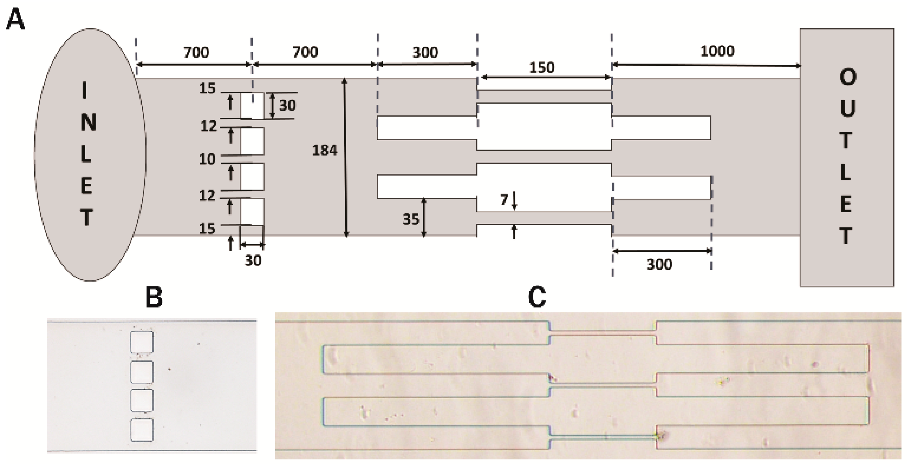 Jcm 08 01194 g002 Jcm 08 01194 g002