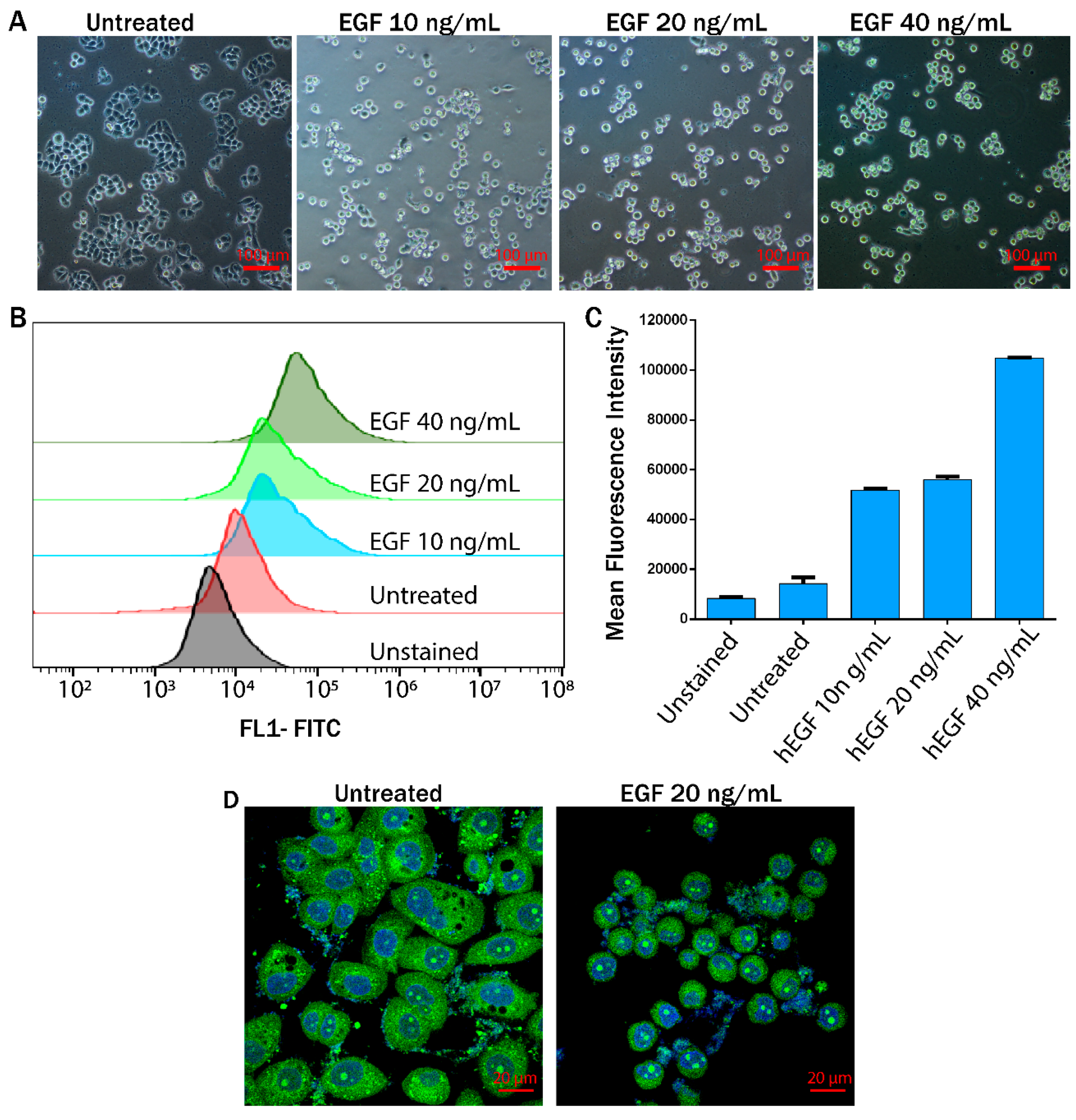 Jcm 08 01194 g003 Jcm 08 01194 g003