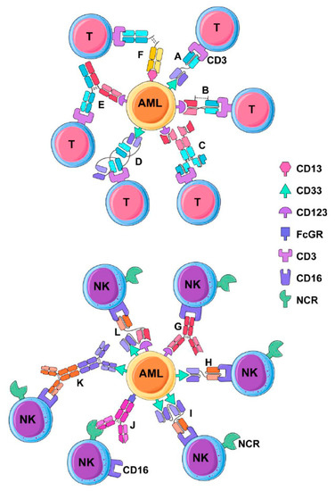 free clinical trials for acute myeloid leukemia free clinical trials for acute myeloid leukemia