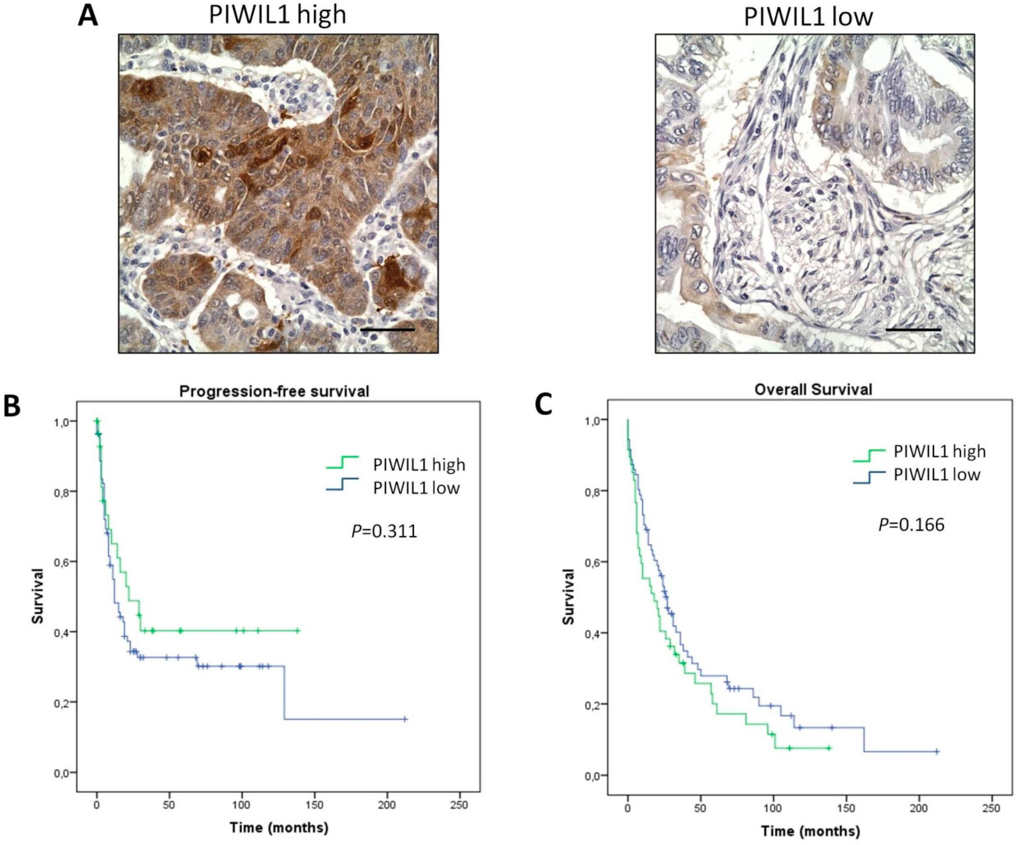 Jcm 08 01275 g001 Jcm 08 01275 g001