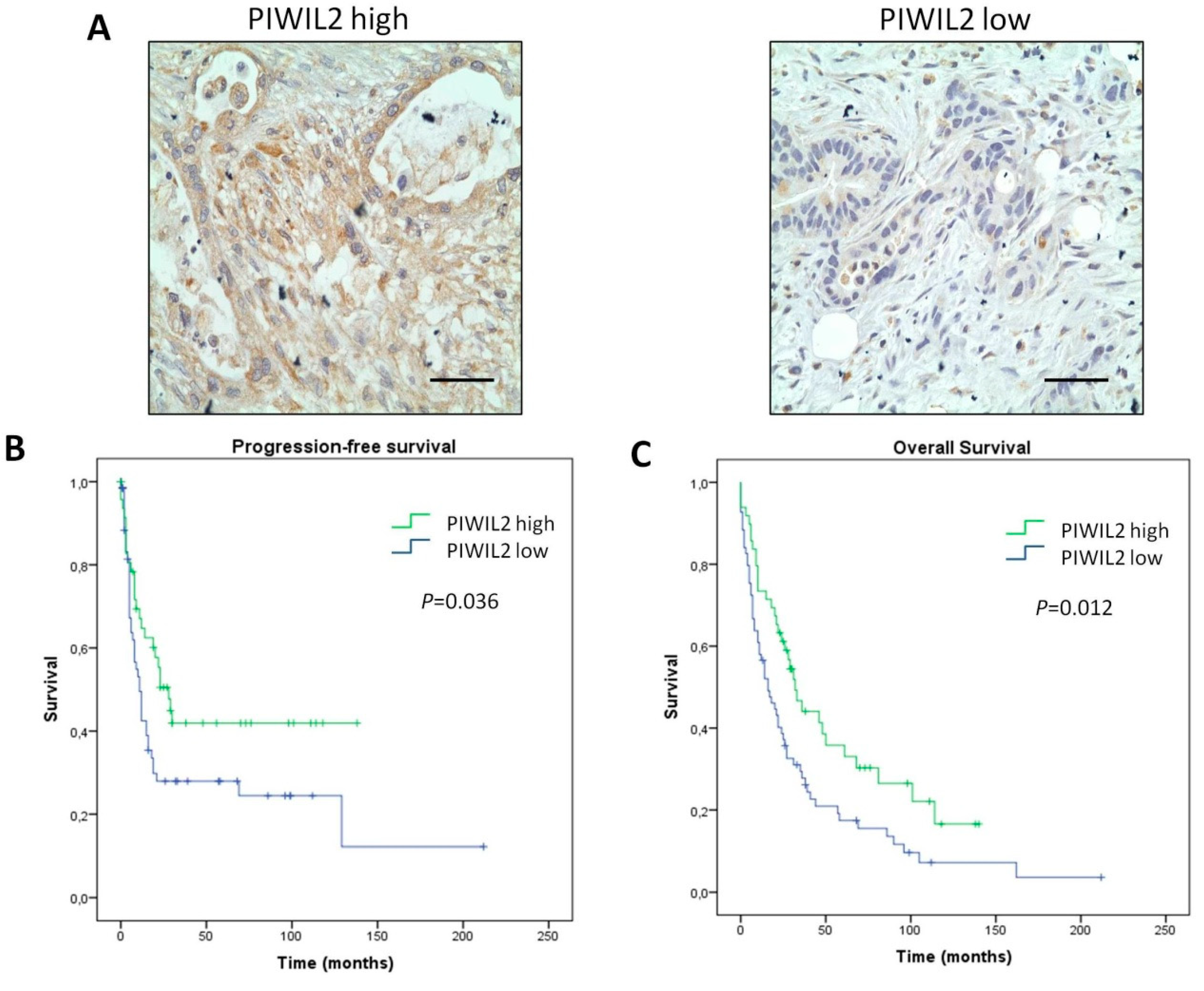 Jcm 08 01275 g002 Jcm 08 01275 g002