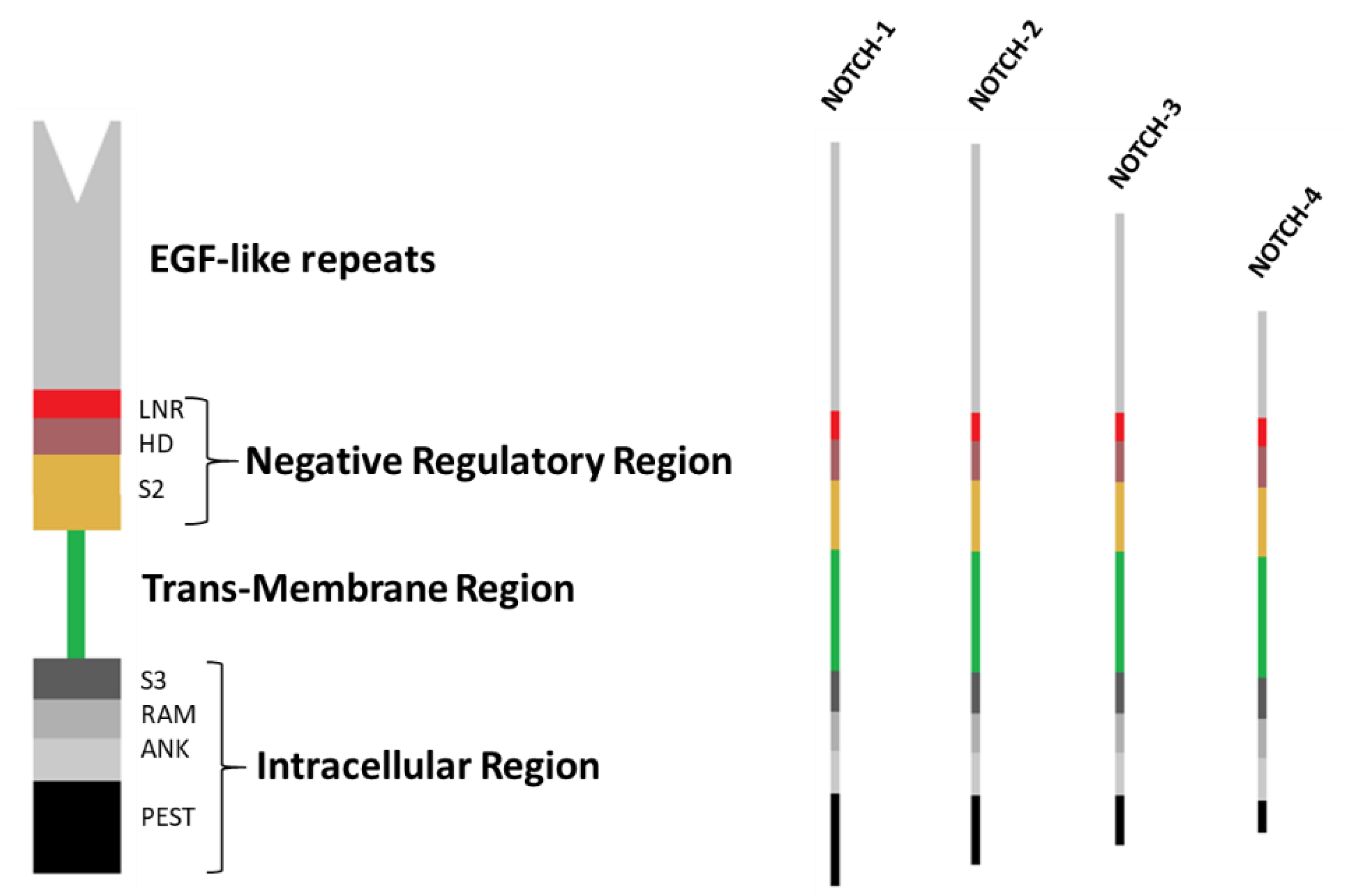 Jcm 08 01277 g001 Jcm 08 01277 g001