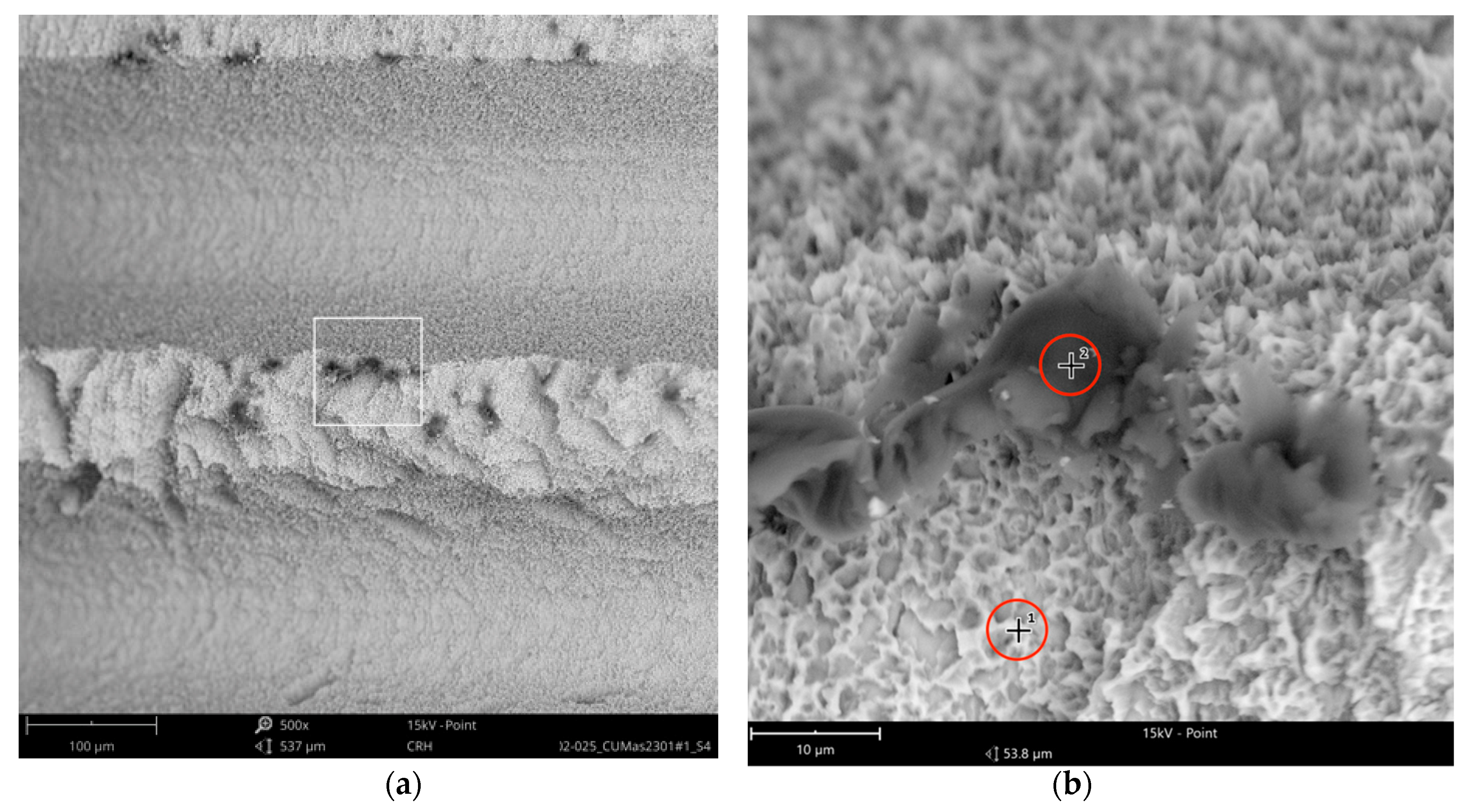 Figure 12 From Ceramic Abutments And Ceramic Oral Implants An Update Semantic Scholar
