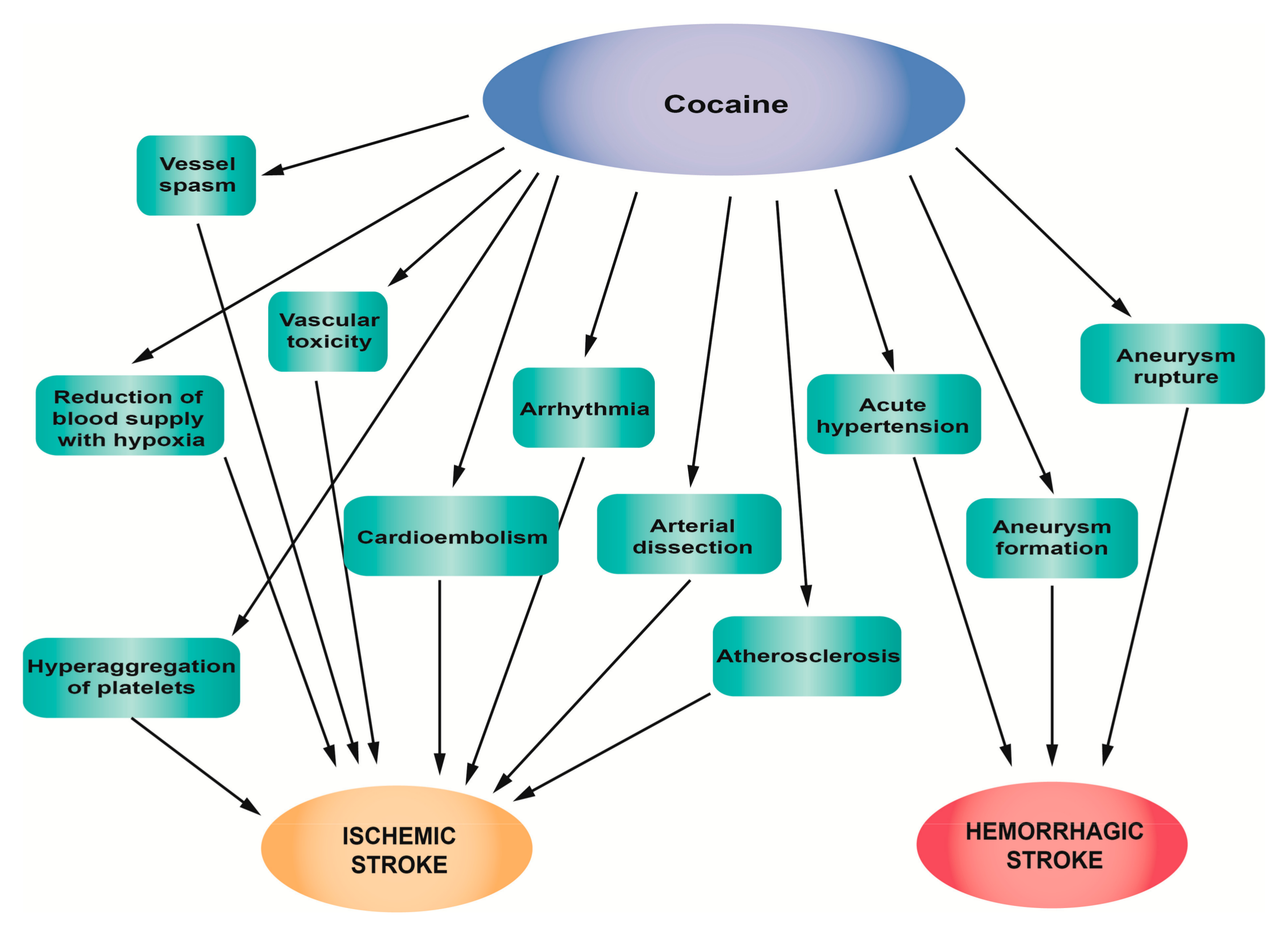 JCM Free Full-Text A Mechanistic and Pathophysiological Approach for Stroke Associated with Drugs of Abuse