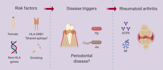 polyarthritis mi ez
