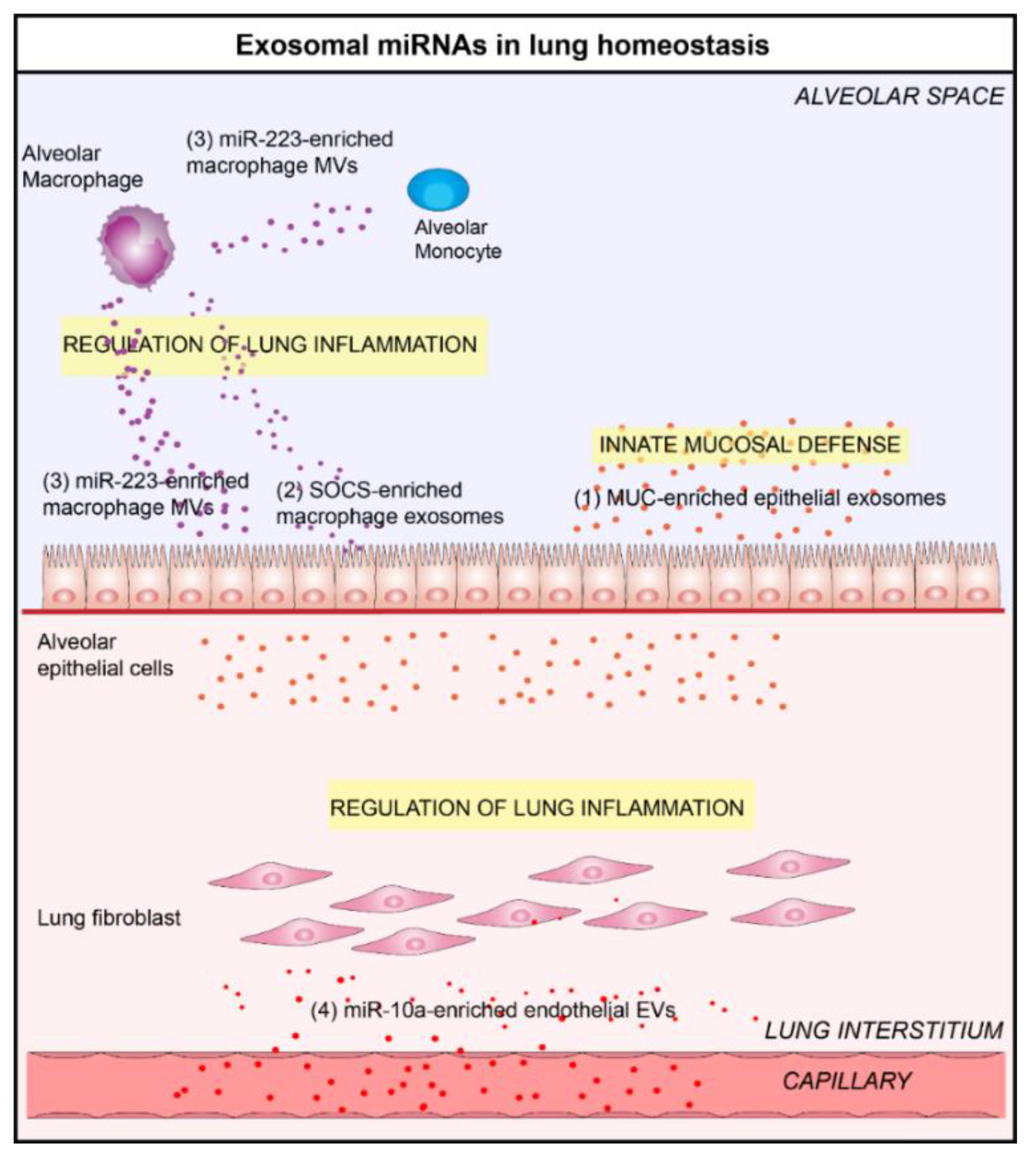 Jcm 08 01345 g001 Jcm 08 01345 g001