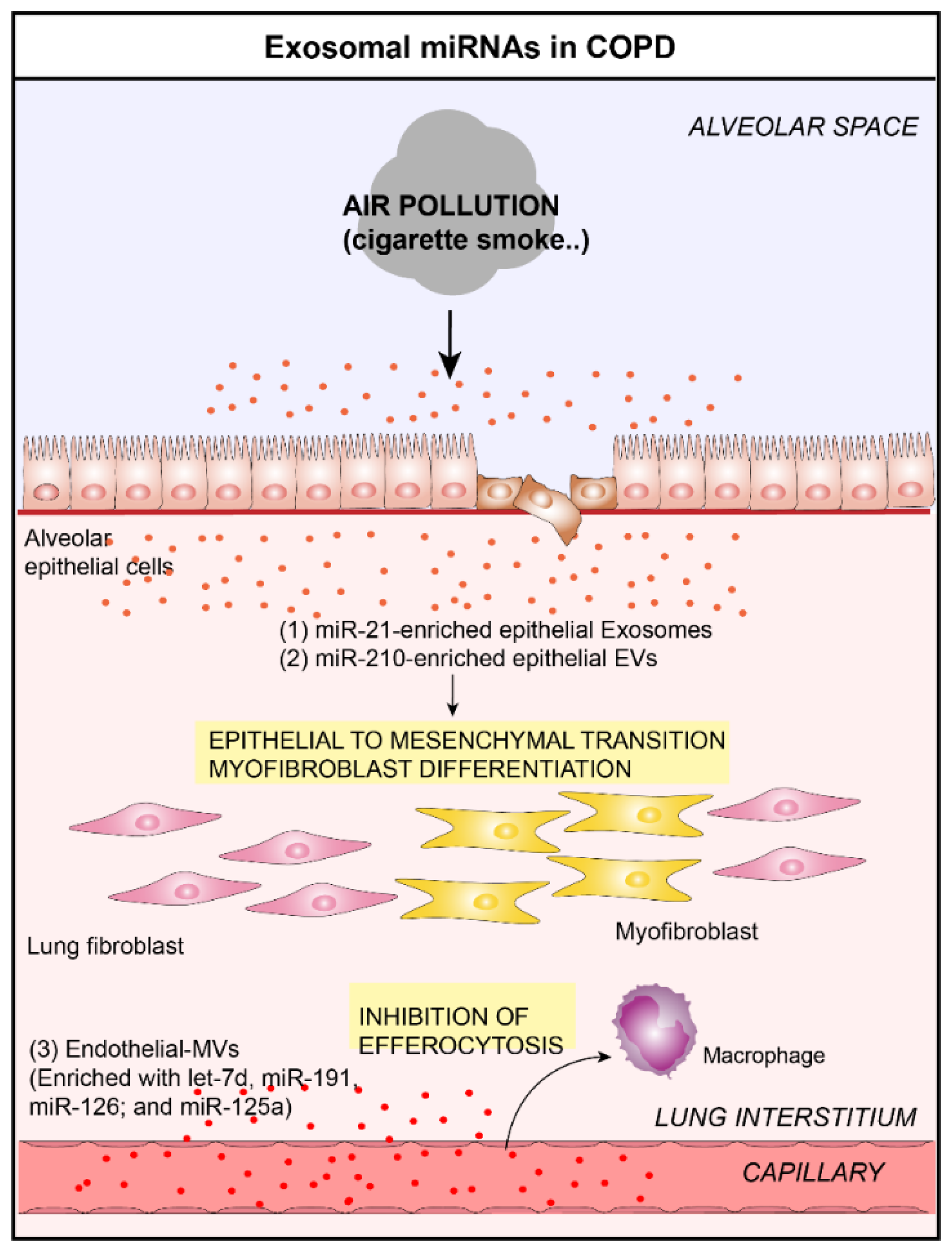 Jcm 08 01345 g002 Jcm 08 01345 g002