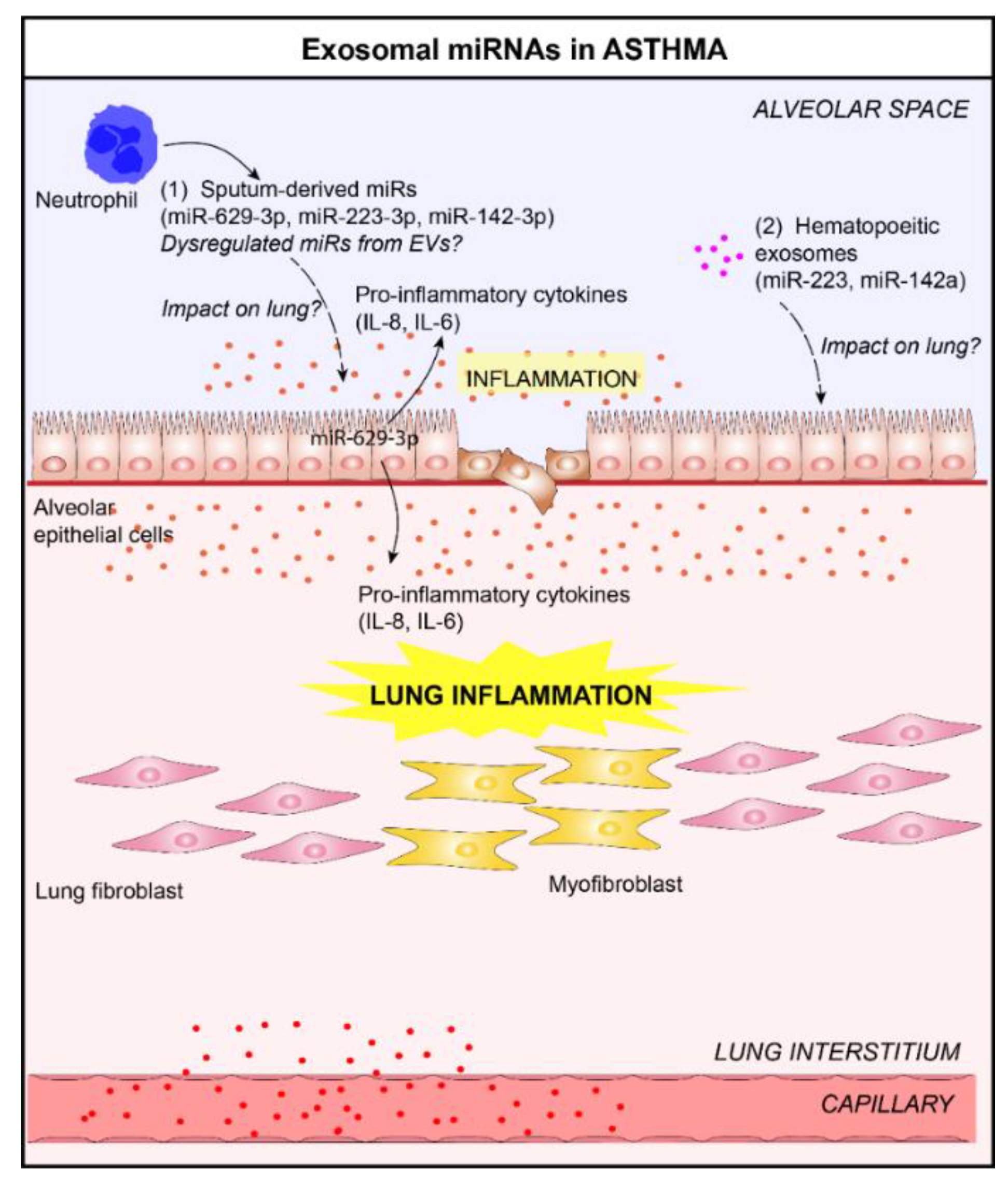 Jcm 08 01345 g003 Jcm 08 01345 g003