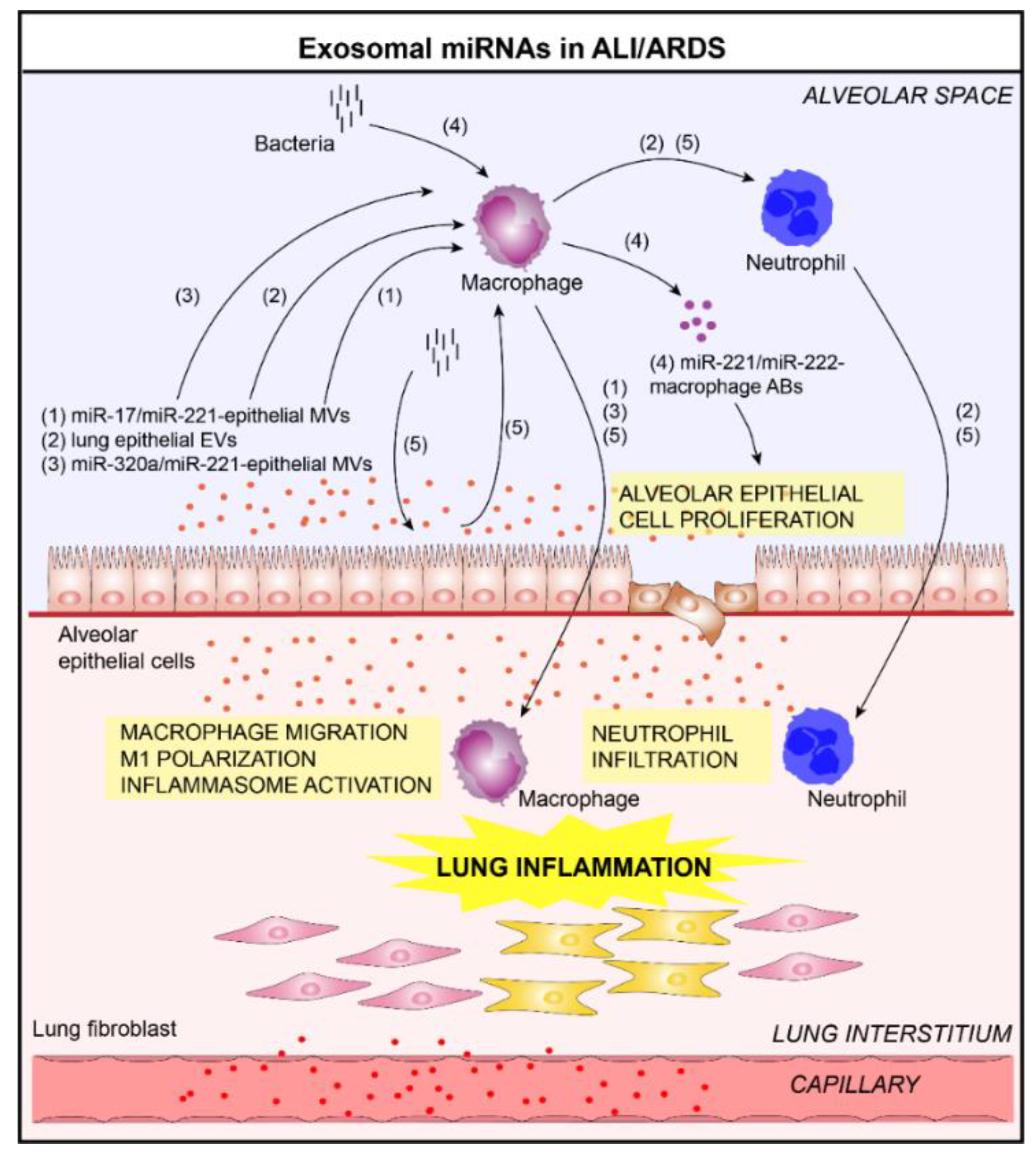 Jcm 08 01345 g004 Jcm 08 01345 g004