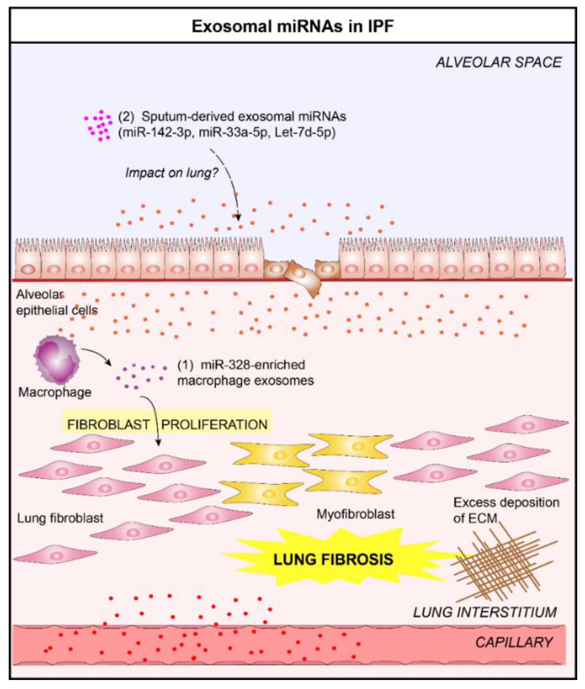 Jcm 08 01345 g005 Jcm 08 01345 g005