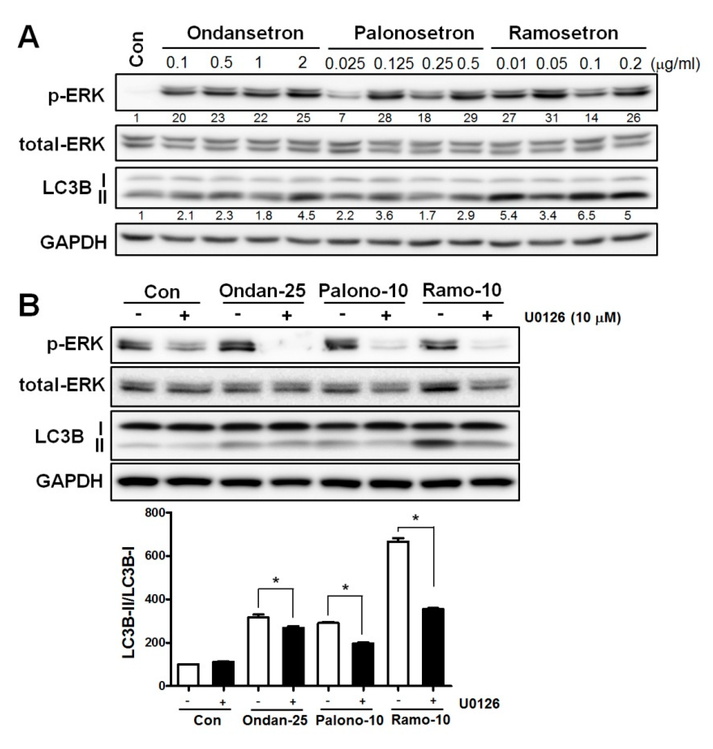 Jcm 08 01380 g003 Jcm 08 01380 g003