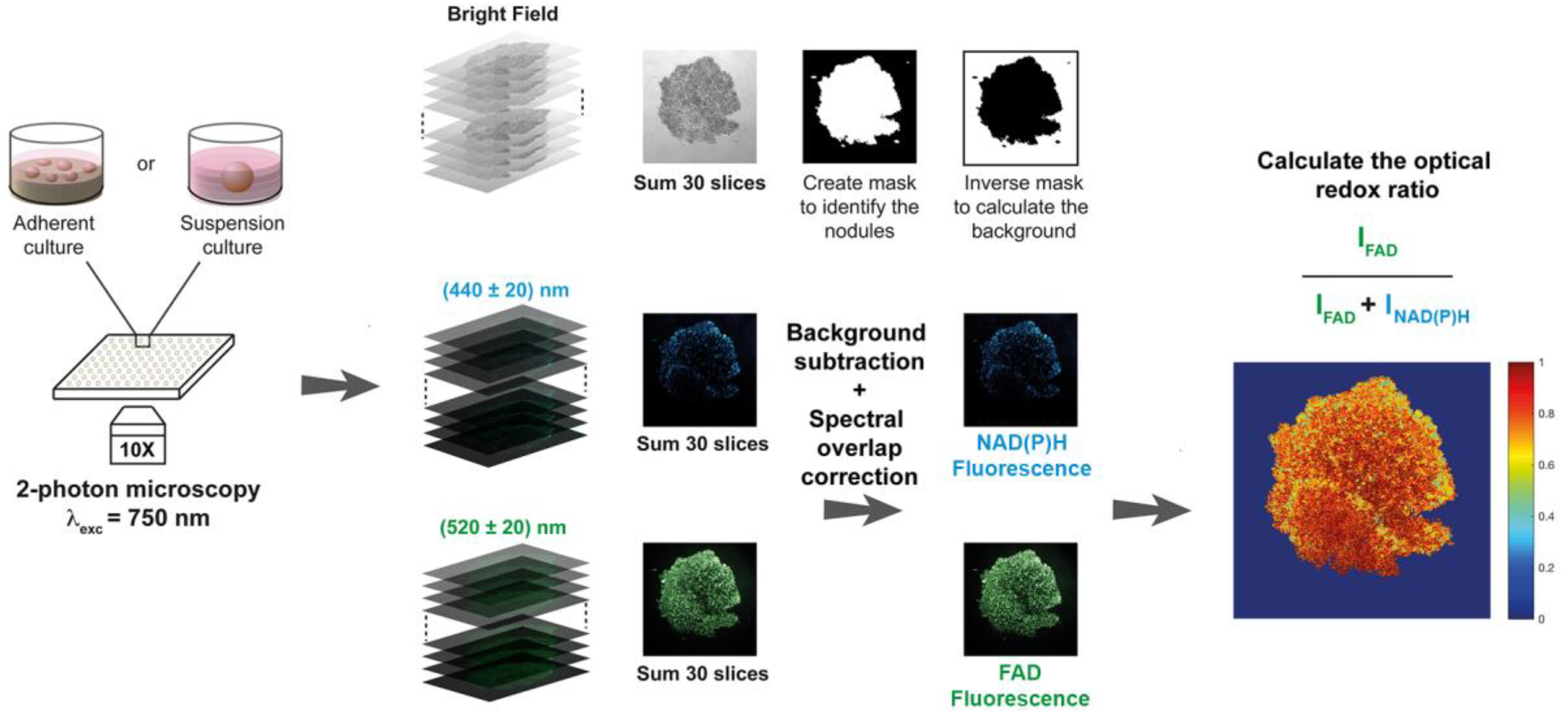 Jcm 08 01399 g001 Jcm 08 01399 g001