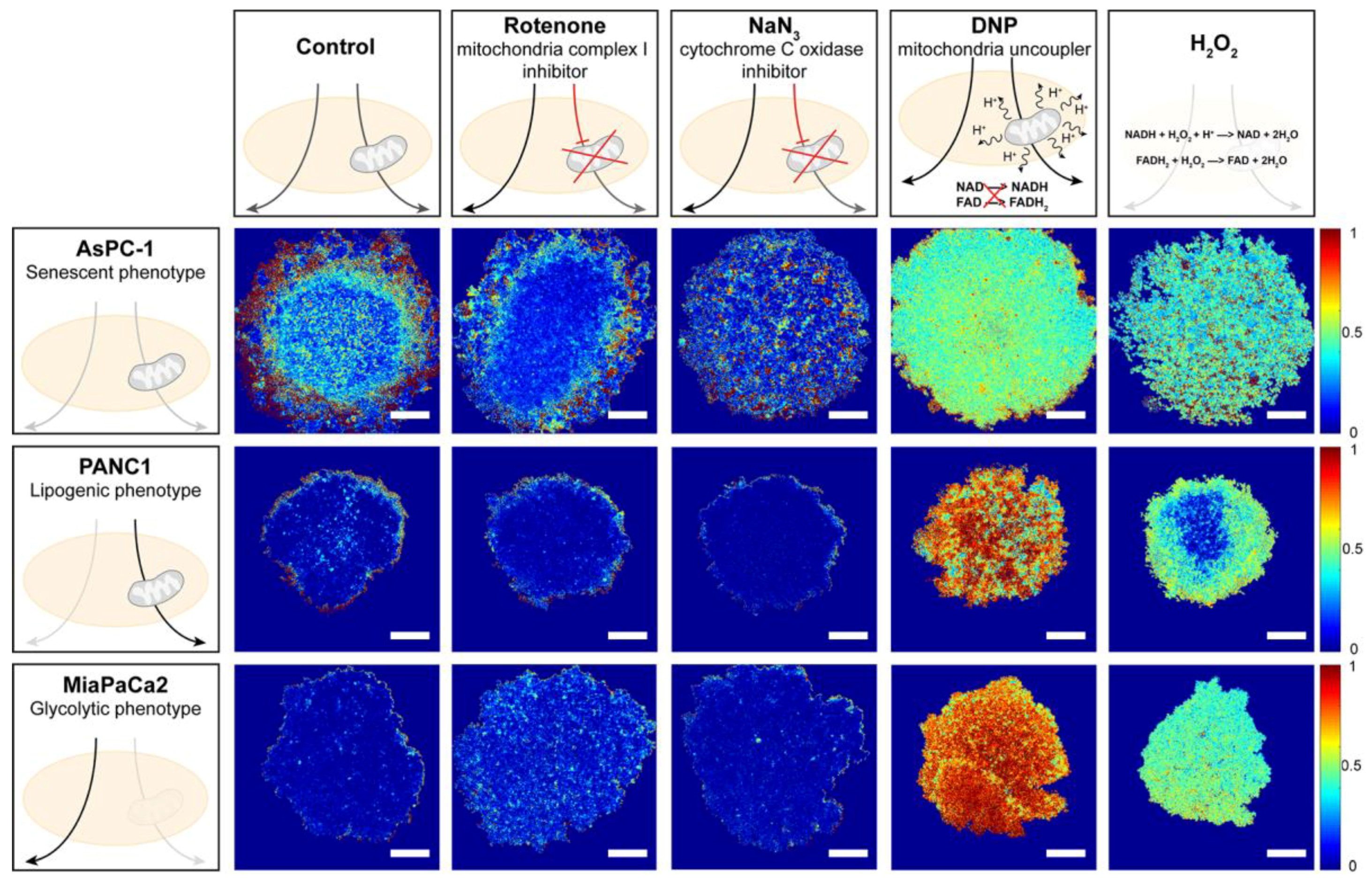 Jcm 08 01399 g002 Jcm 08 01399 g002