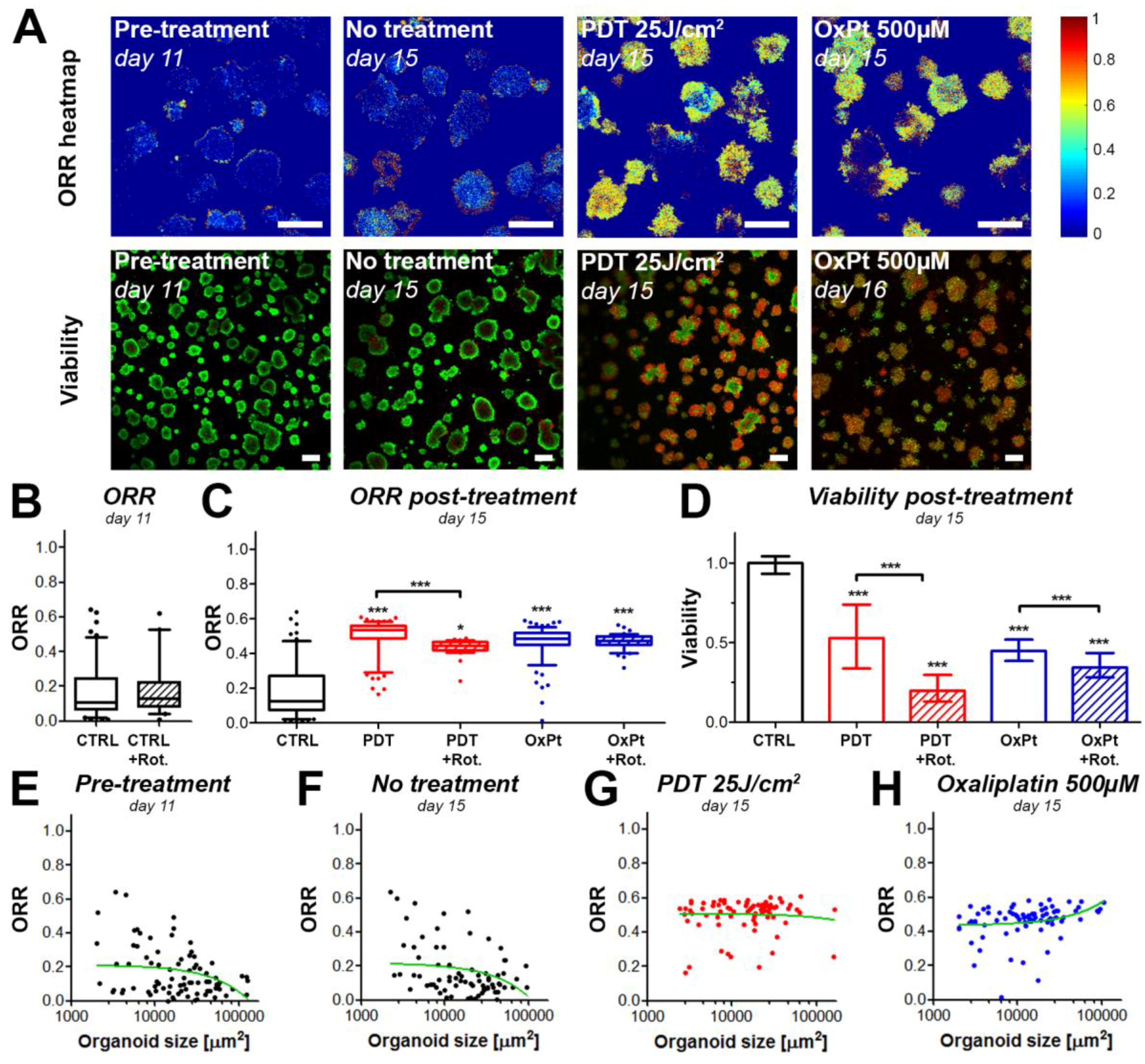 Jcm 08 01399 g004 Jcm 08 01399 g004