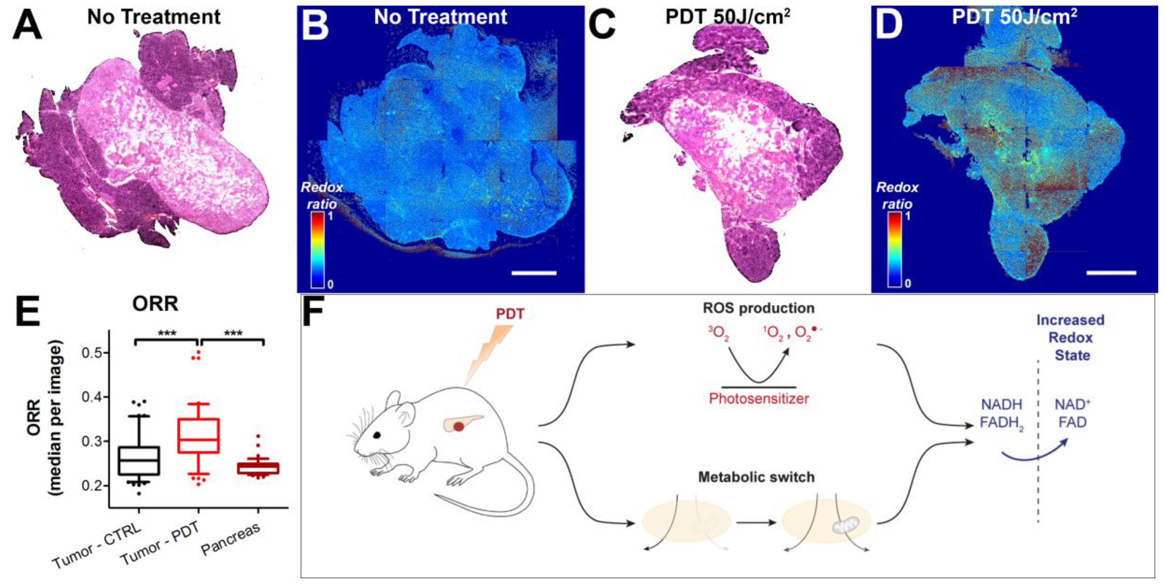 Jcm 08 01399 g005 Jcm 08 01399 g005