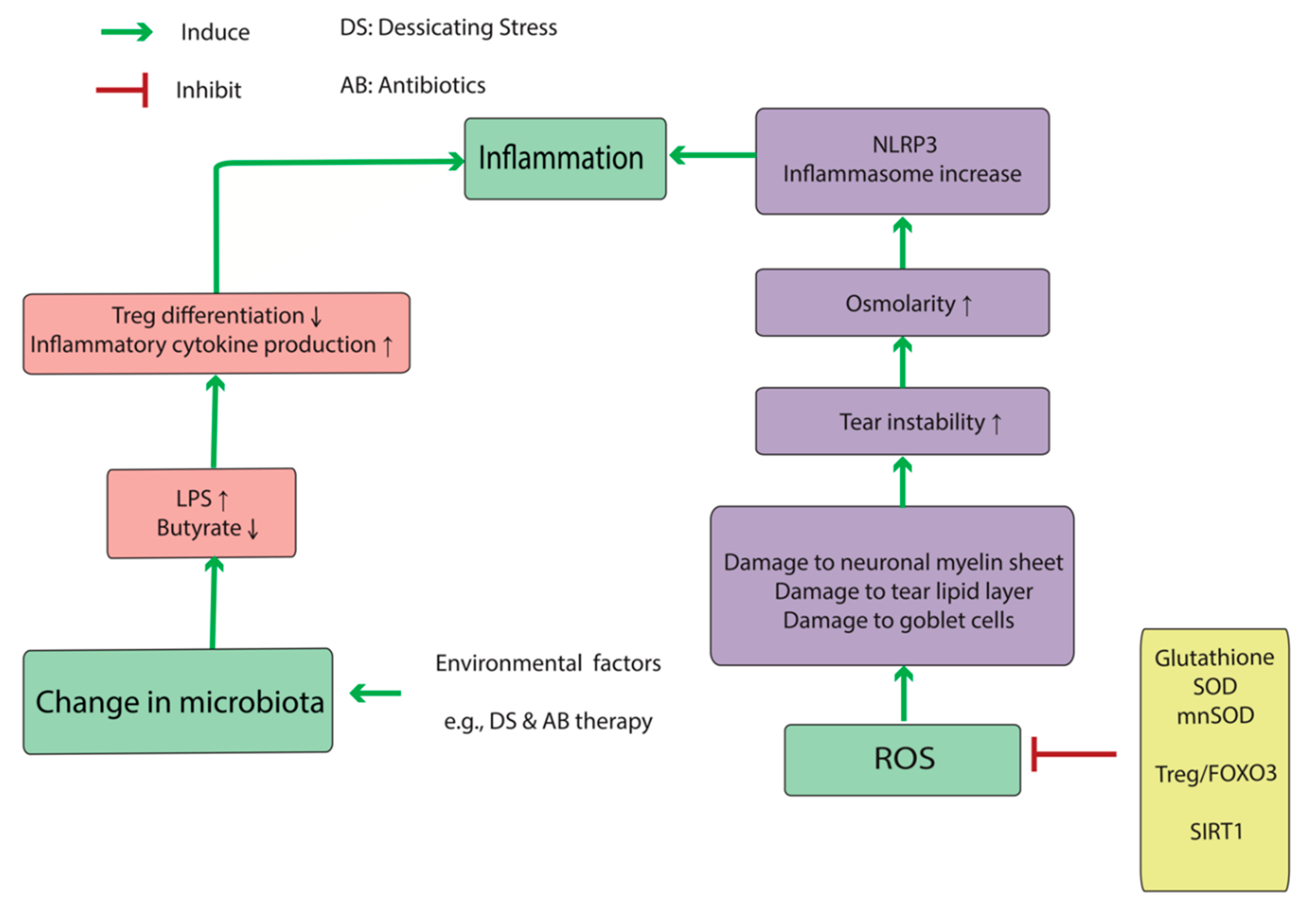 Reclaiming Vision In Dry-Eye Syndrome