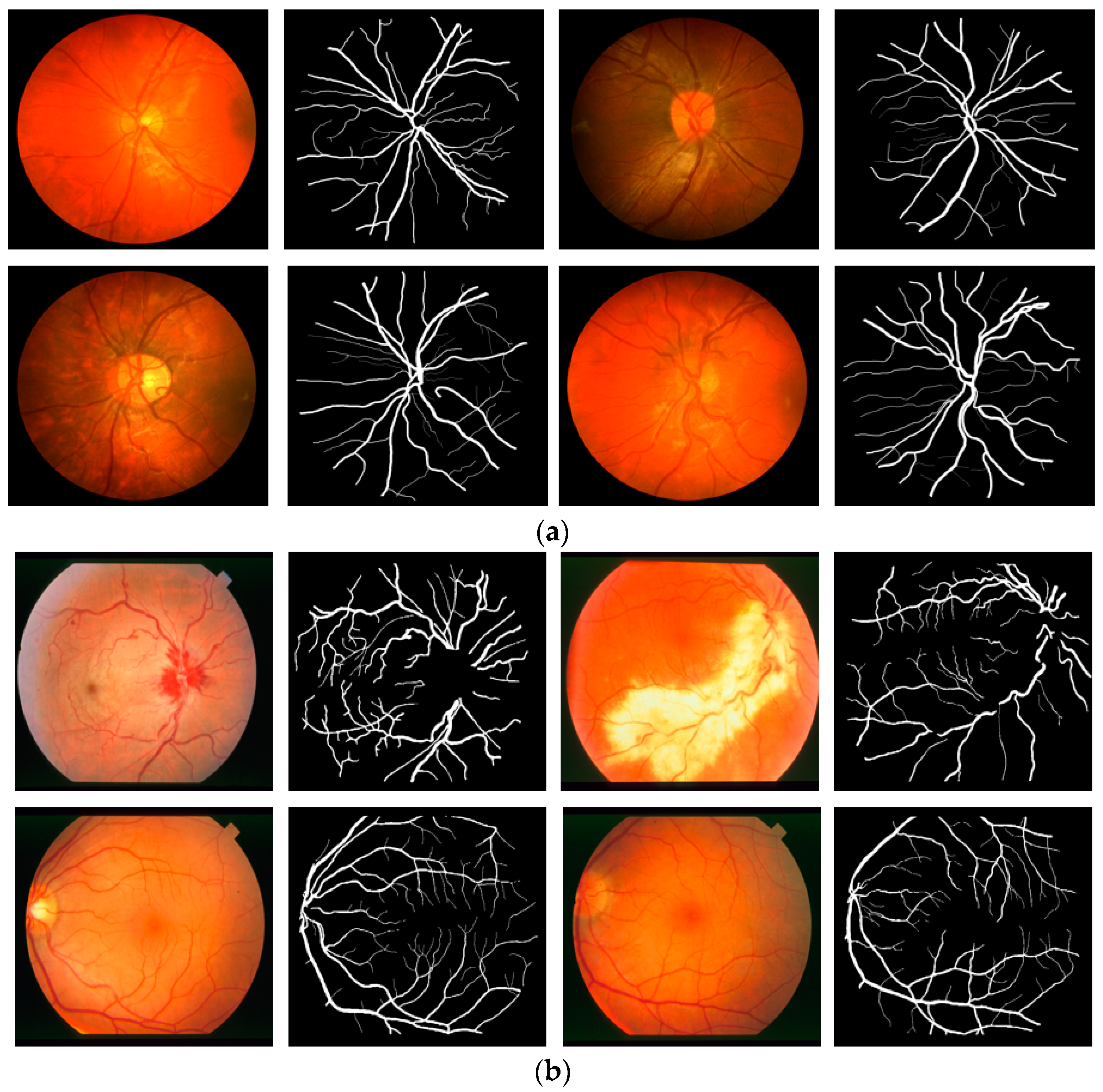 Jcm 08 01446 g008 Jcm 08 01446 g008