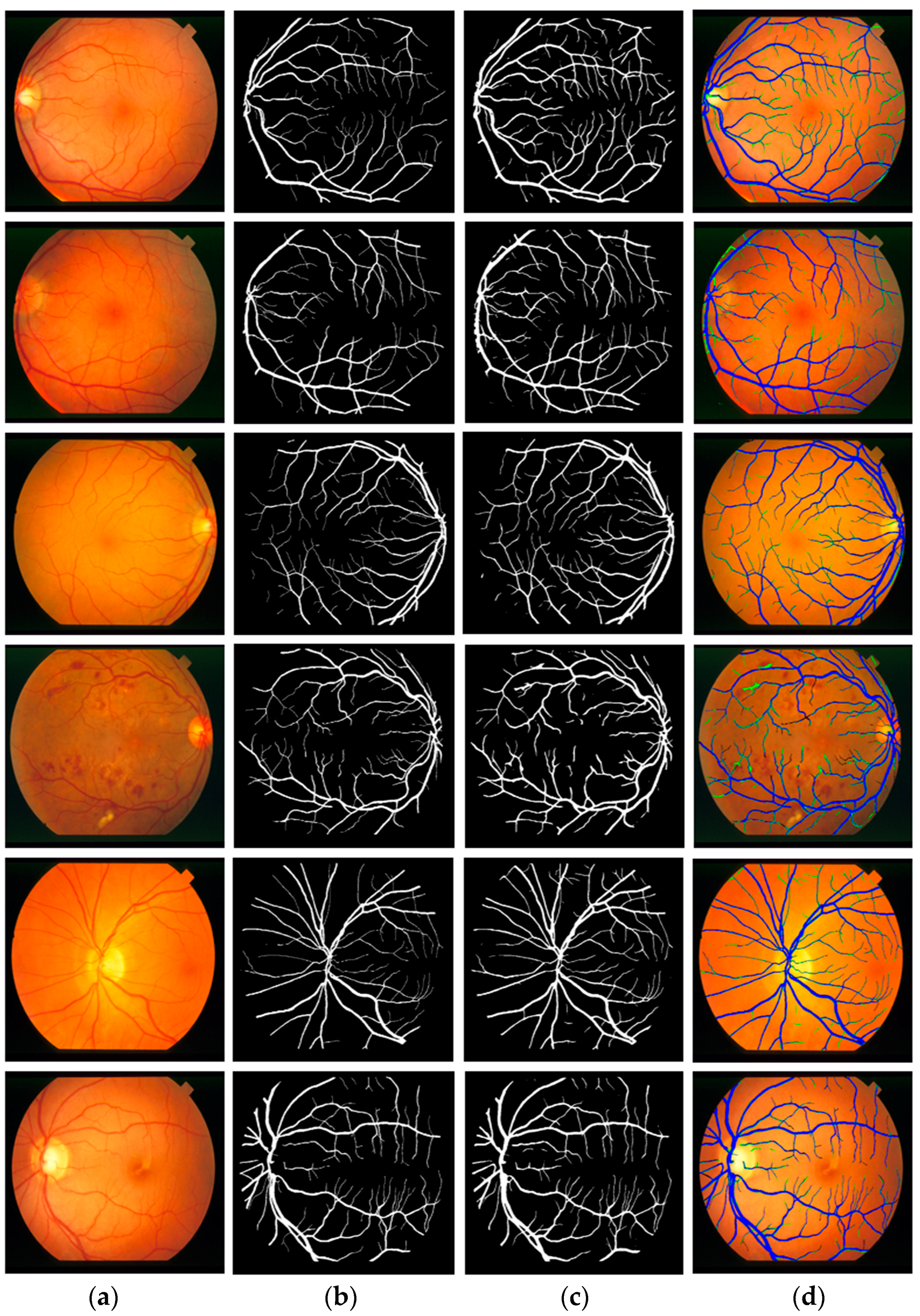 Jcm 08 01446 g010 Jcm 08 01446 g010