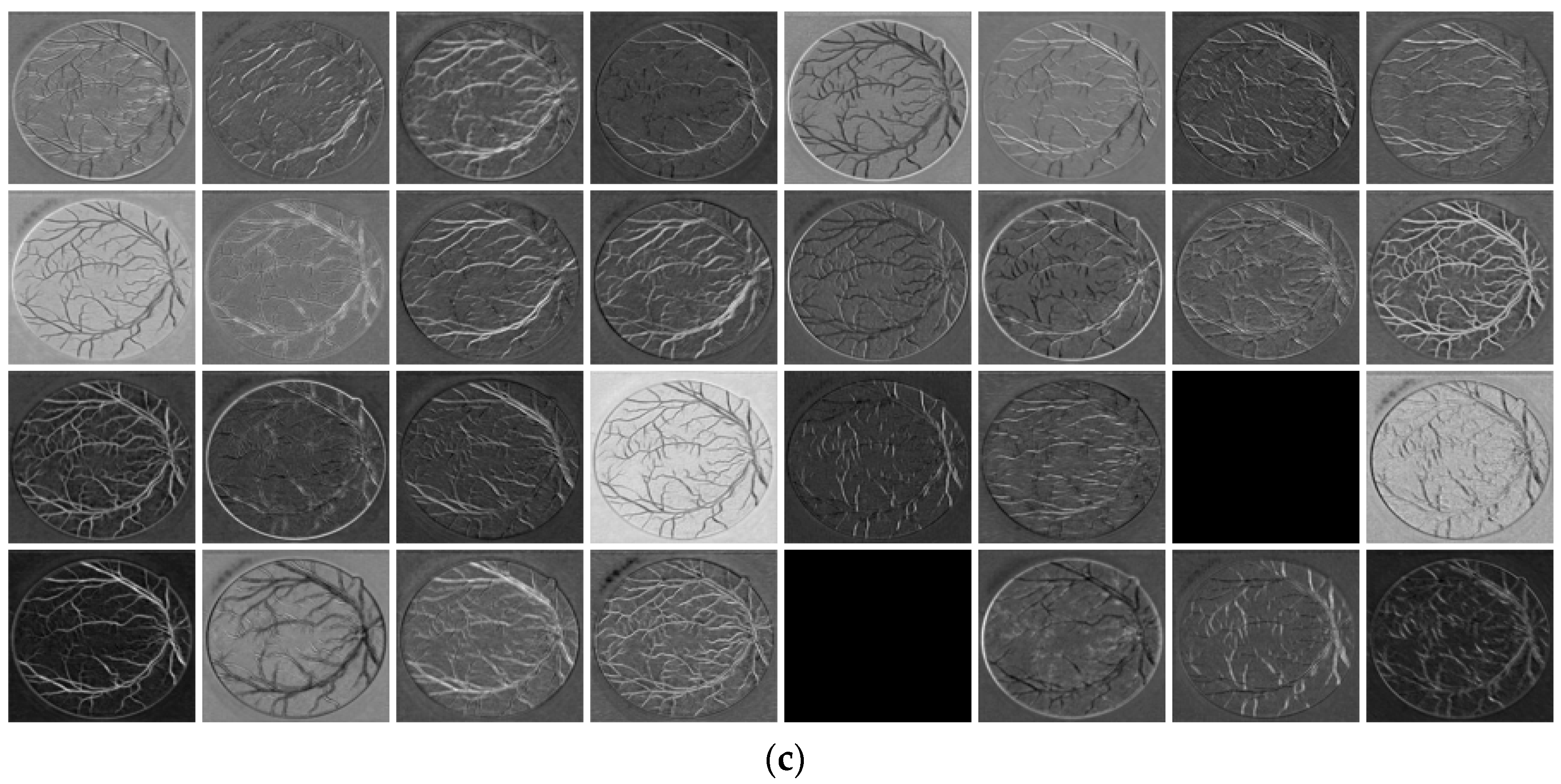 Jcm 08 01446 g012b Jcm 08 01446 g012b