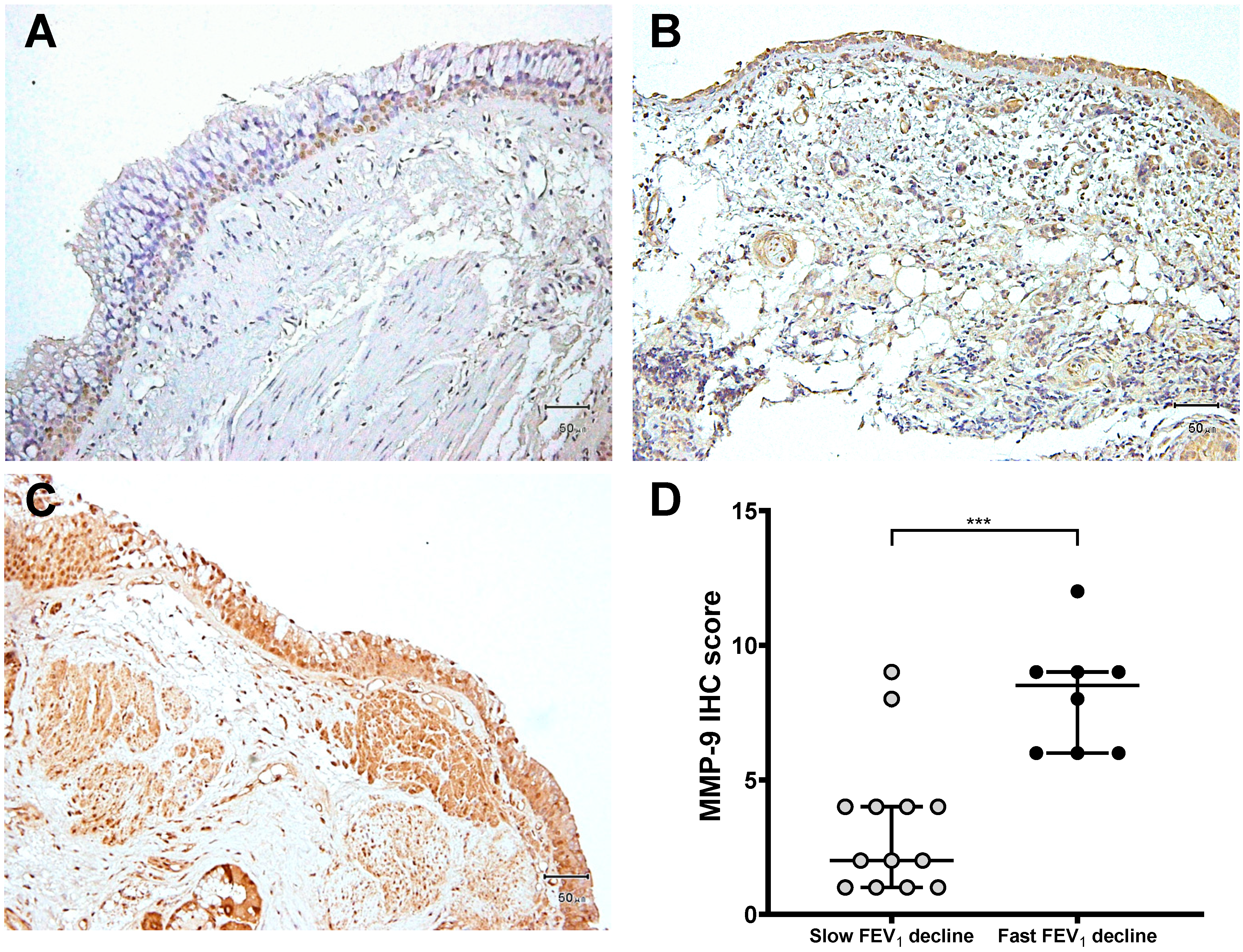 Jcm 08 01451 g001 Jcm 08 01451 g001