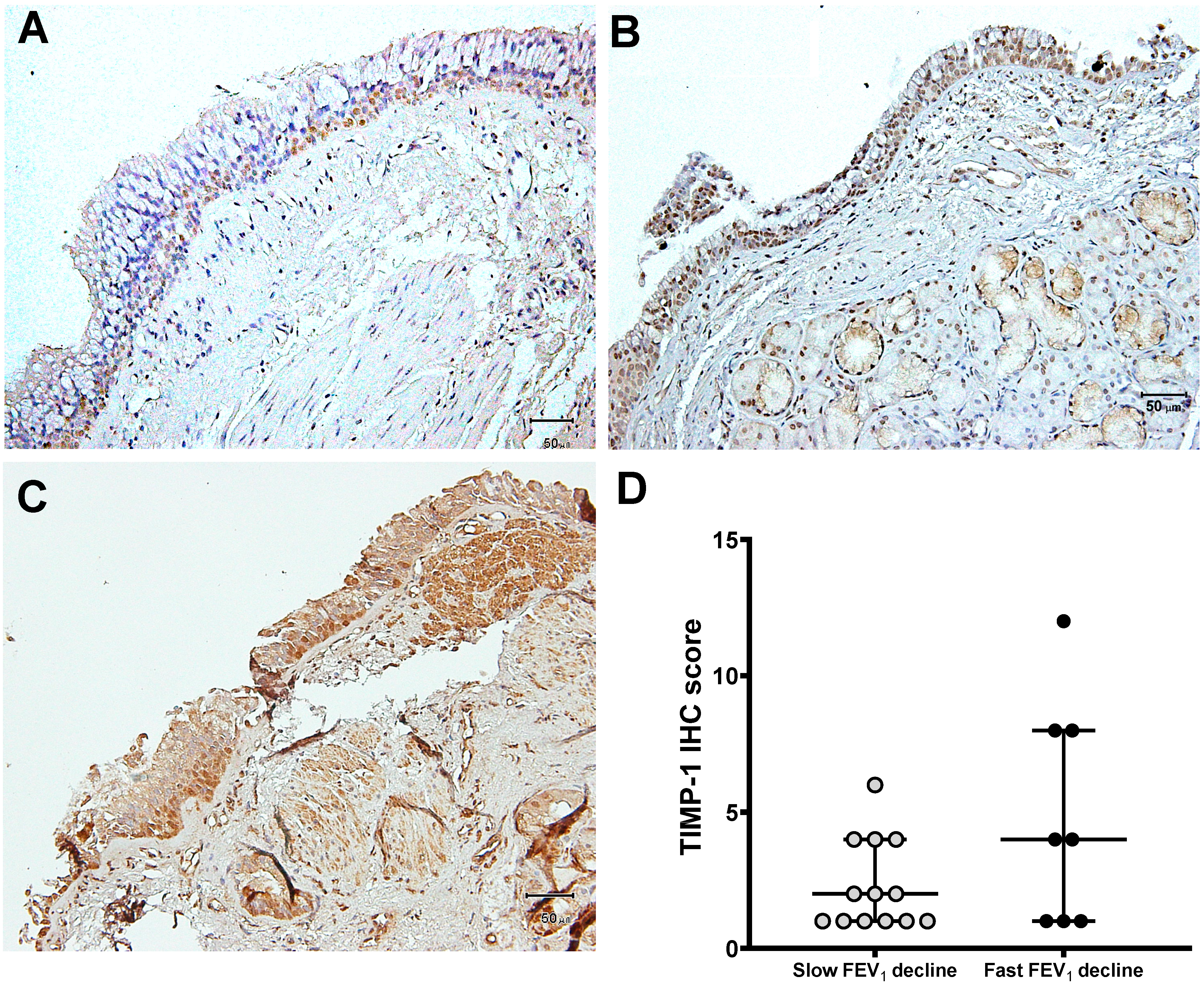 Jcm 08 01451 g002 Jcm 08 01451 g002