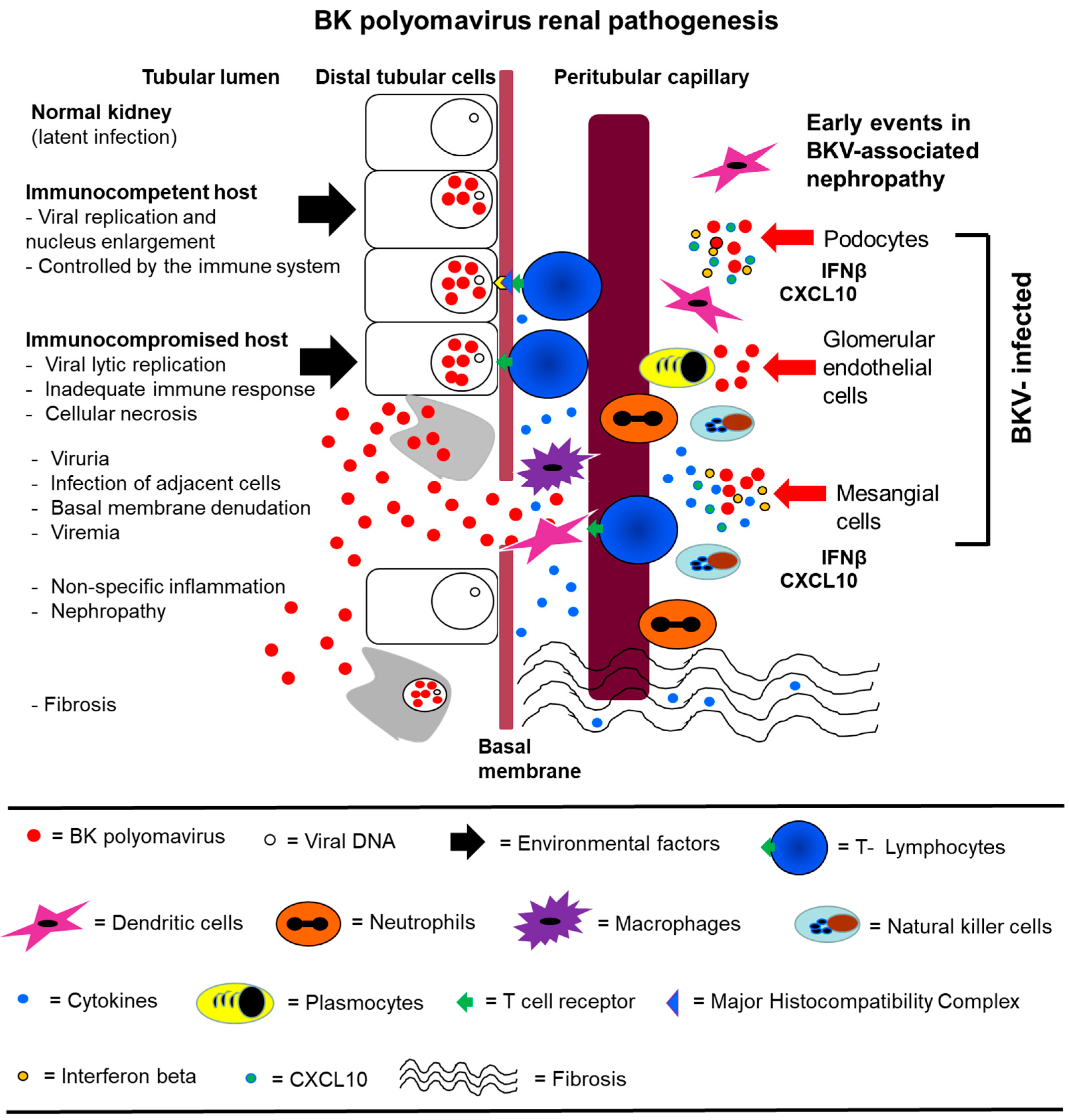 Jcm 08 01477 g003 Jcm 08 01477 g003