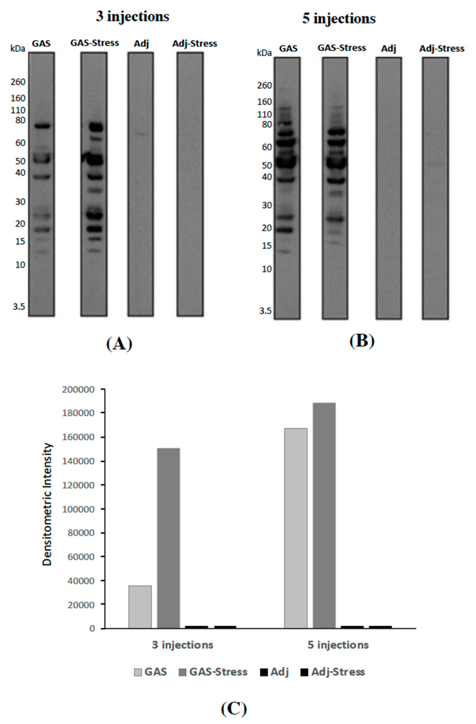 Jcm 08 01514 g002 Jcm 08 01514 g002