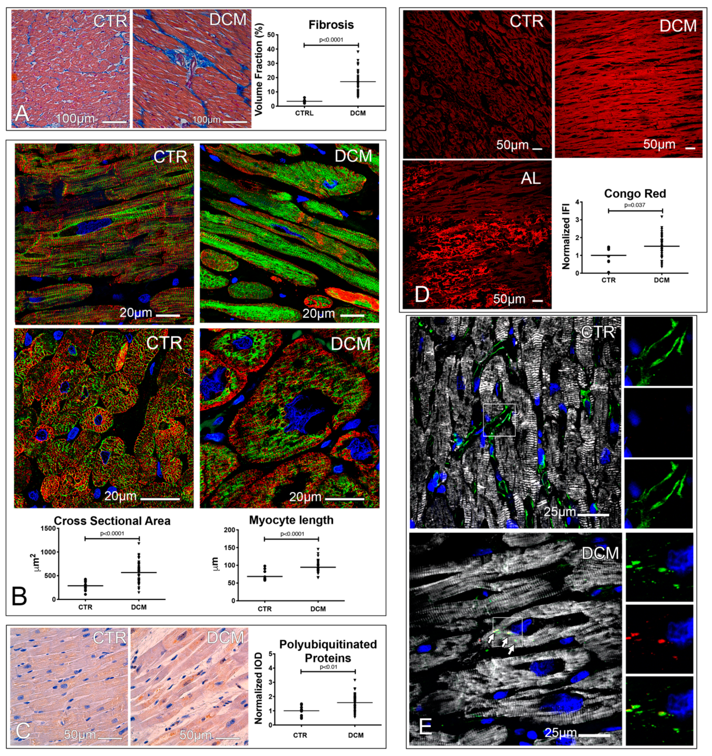 Jcm 08 01519 g001 Jcm 08 01519 g001
