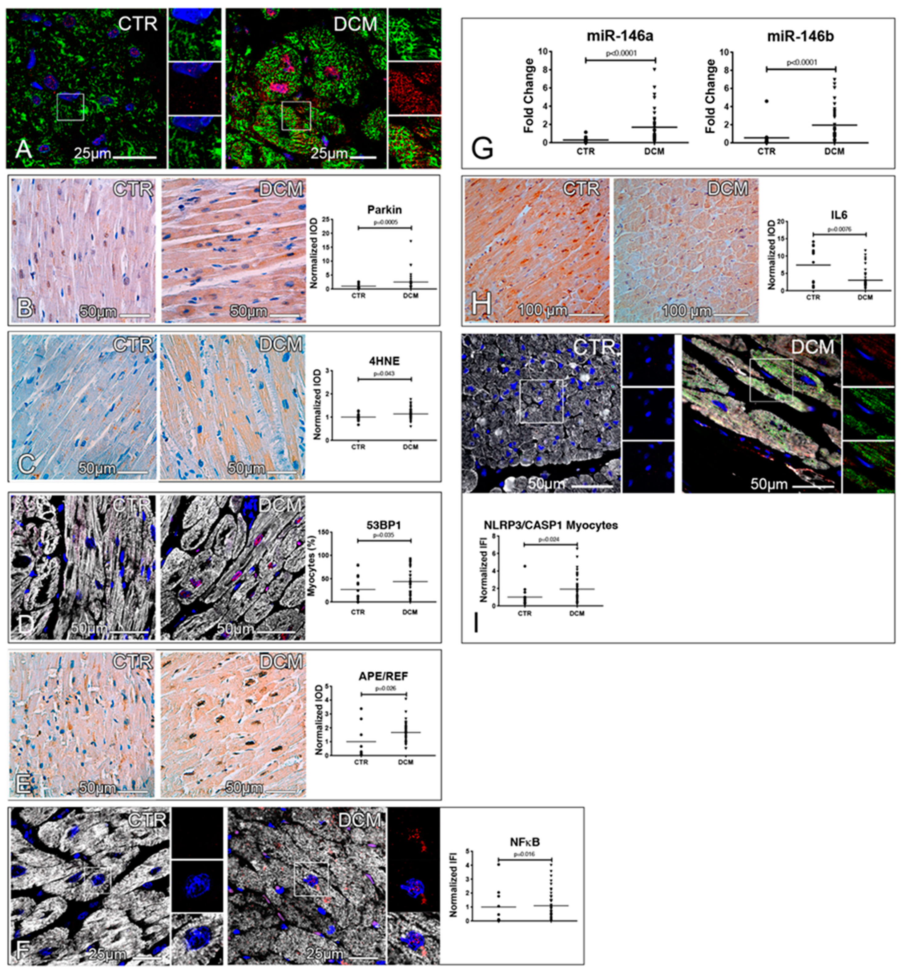 Jcm 08 01519 g003 Jcm 08 01519 g003