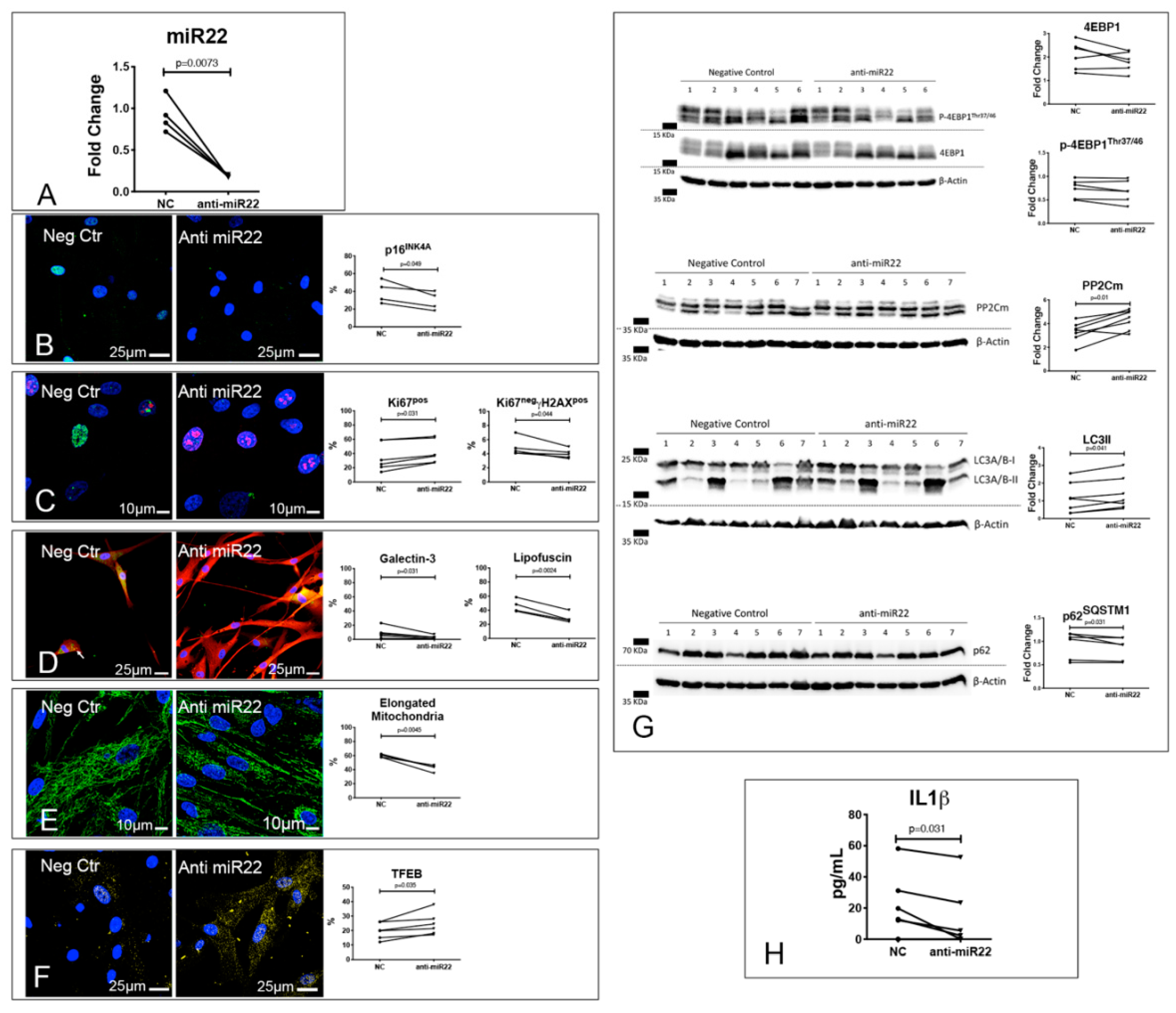 Jcm 08 01519 g006 Jcm 08 01519 g006