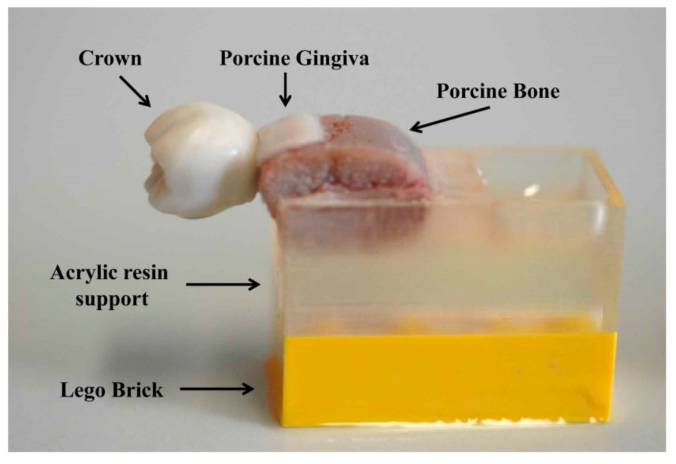 Jcm 08 01539 g001 550