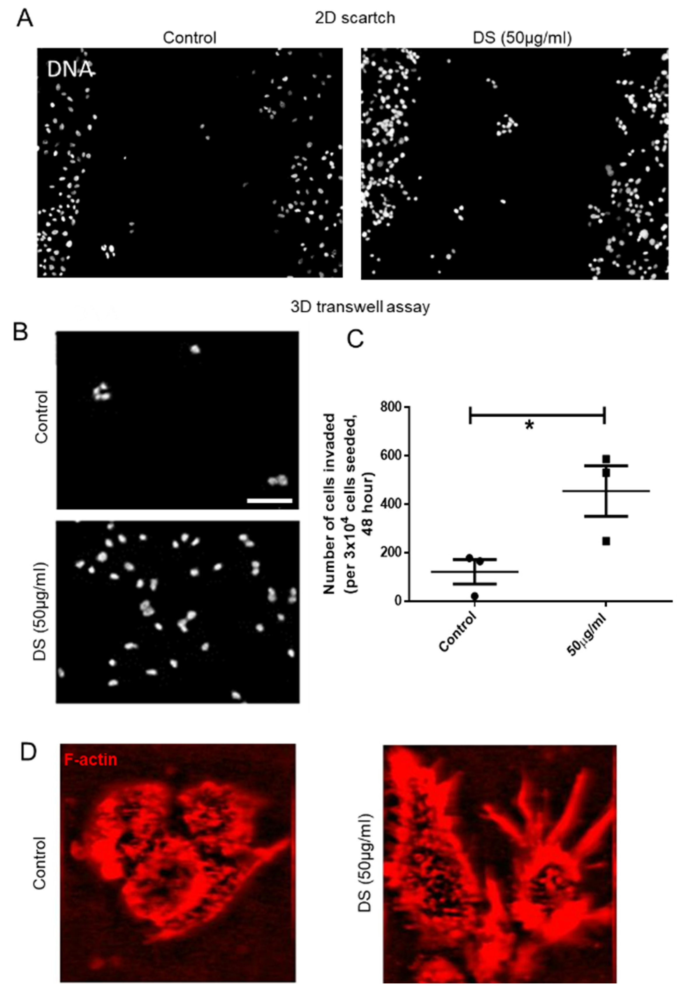 Jcm Free Full Text Iduronate 2 Sulfatase Regulated Dermatan Sulfate