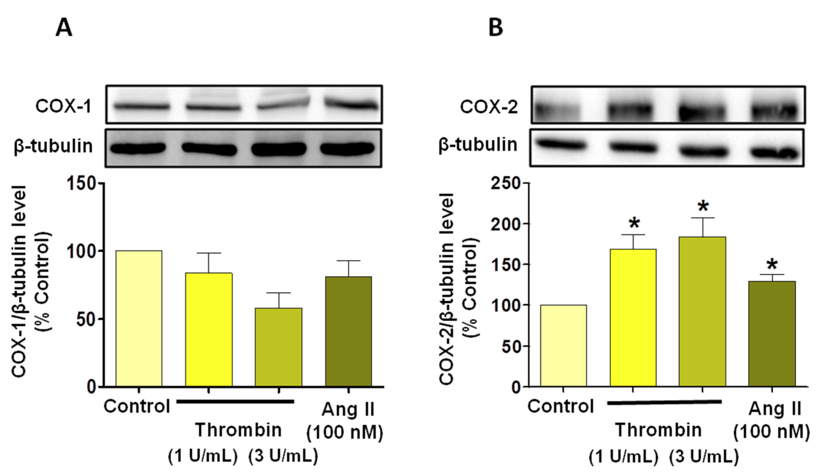 Jcm 08 01570 g003 Jcm 08 01570 g003