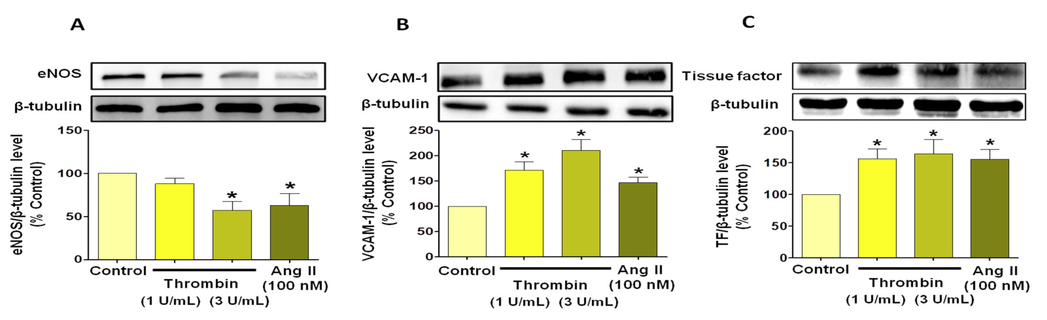 Jcm 08 01570 g004 Jcm 08 01570 g004