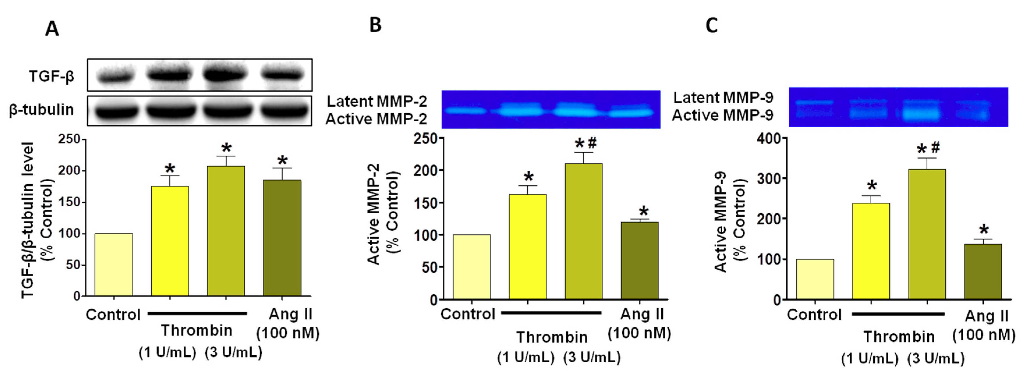 Jcm 08 01570 g005 Jcm 08 01570 g005