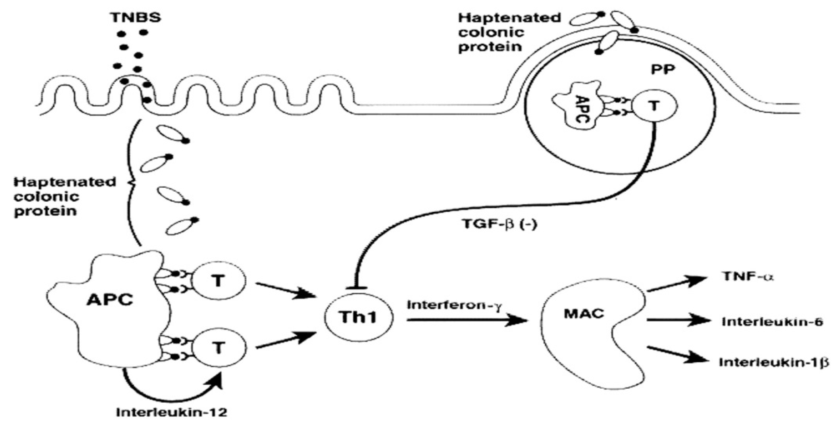 Jcm 08 01574 g002 Jcm 08 01574 g002