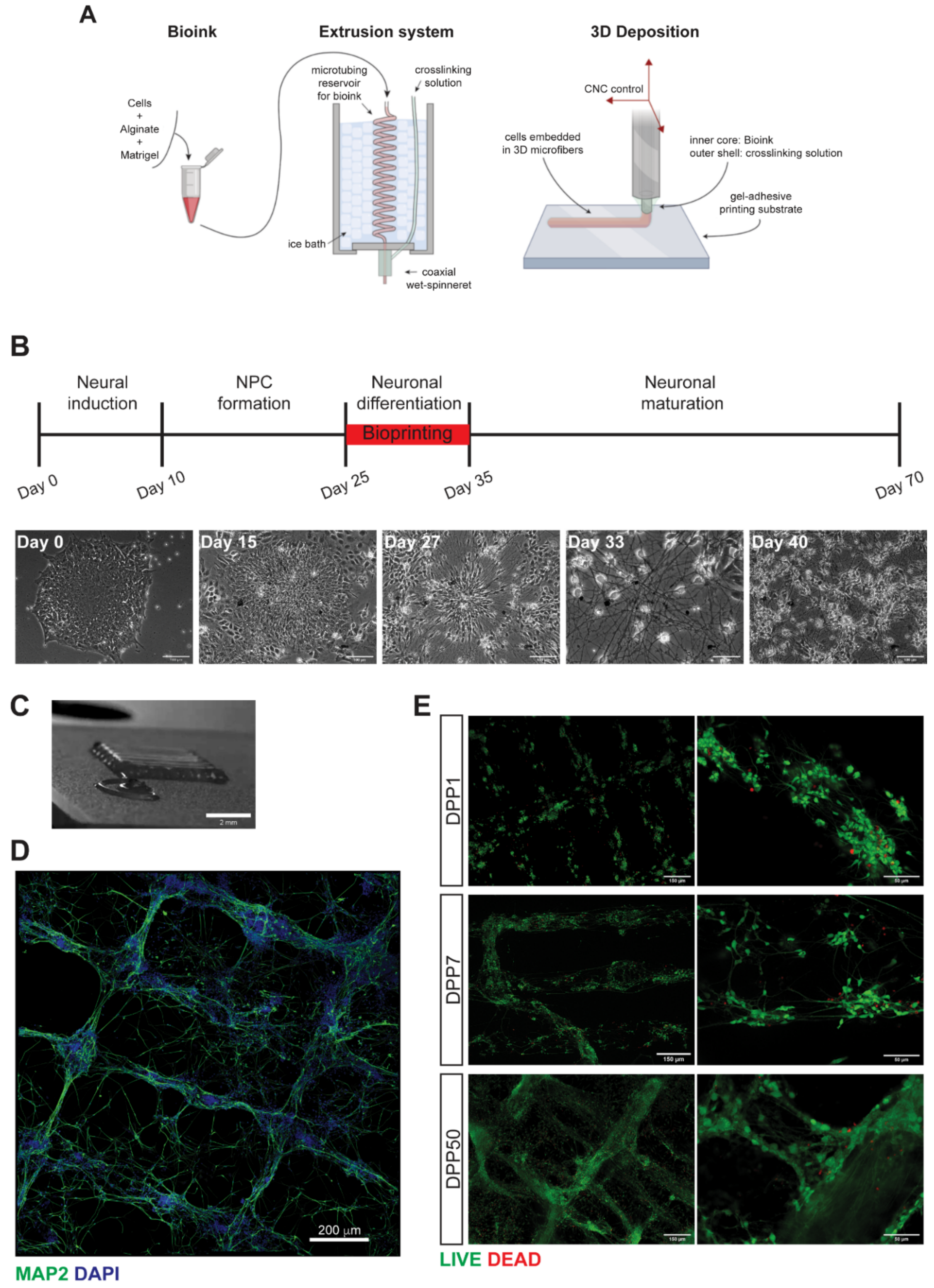 Jcm 08 01595 g001 Jcm 08 01595 g001