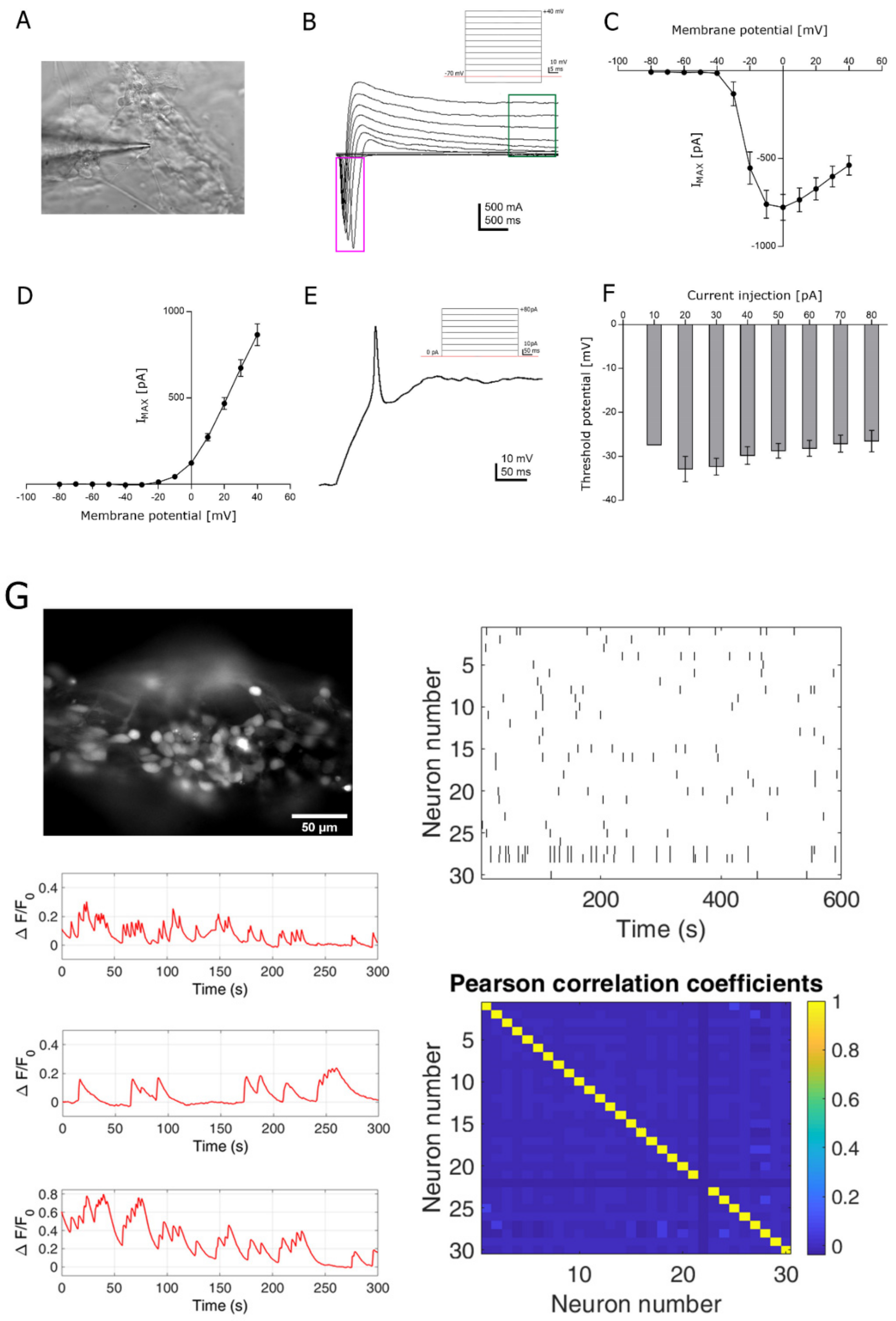 Jcm 08 01595 g003 Jcm 08 01595 g003