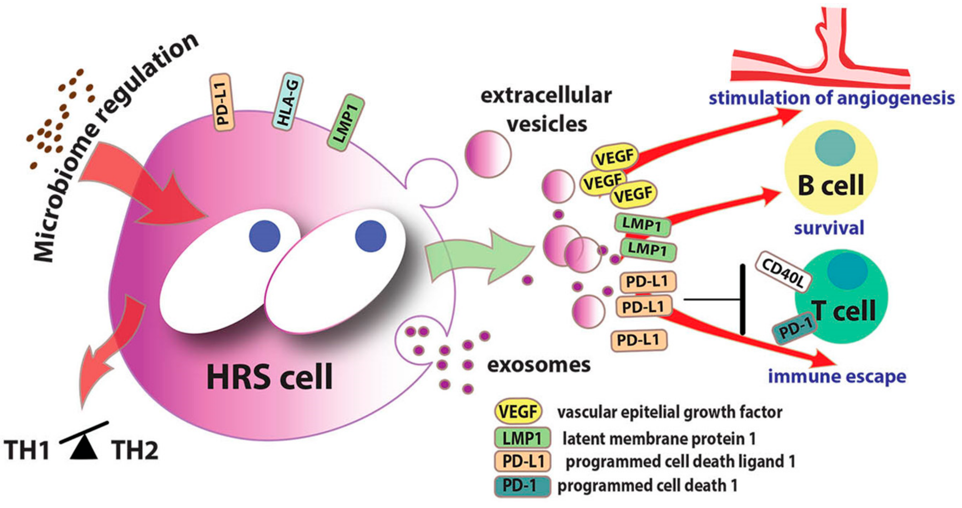 Jcm 08 01596 g003 Jcm 08 01596 g003